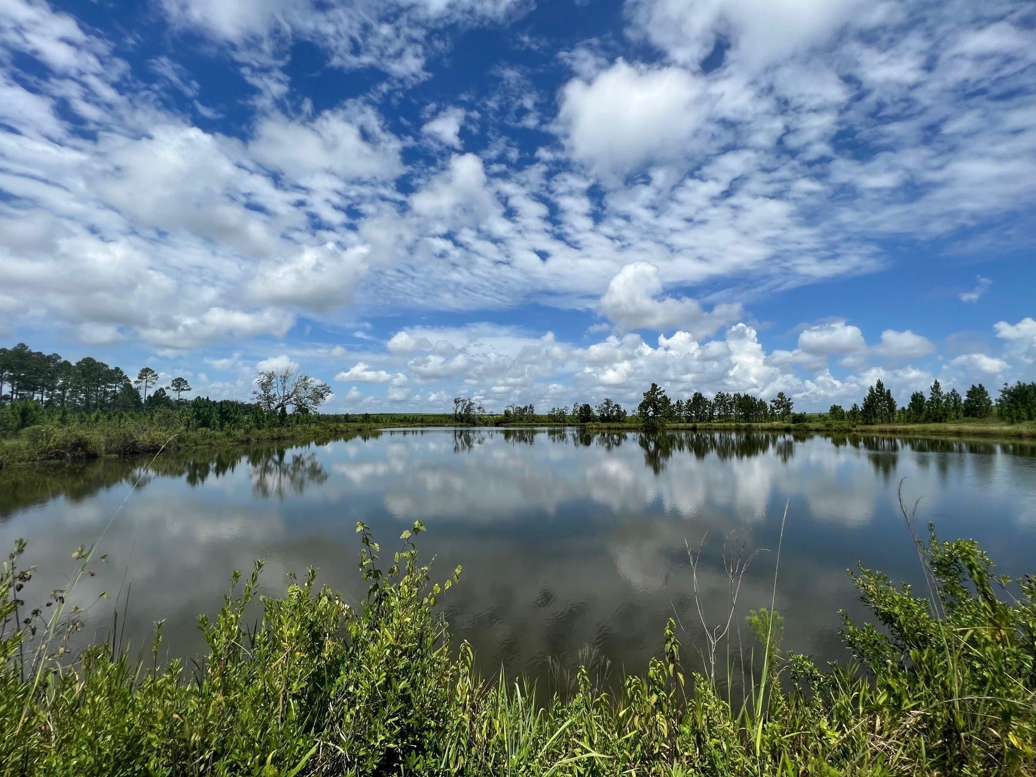 56.5 acres in Turner County,