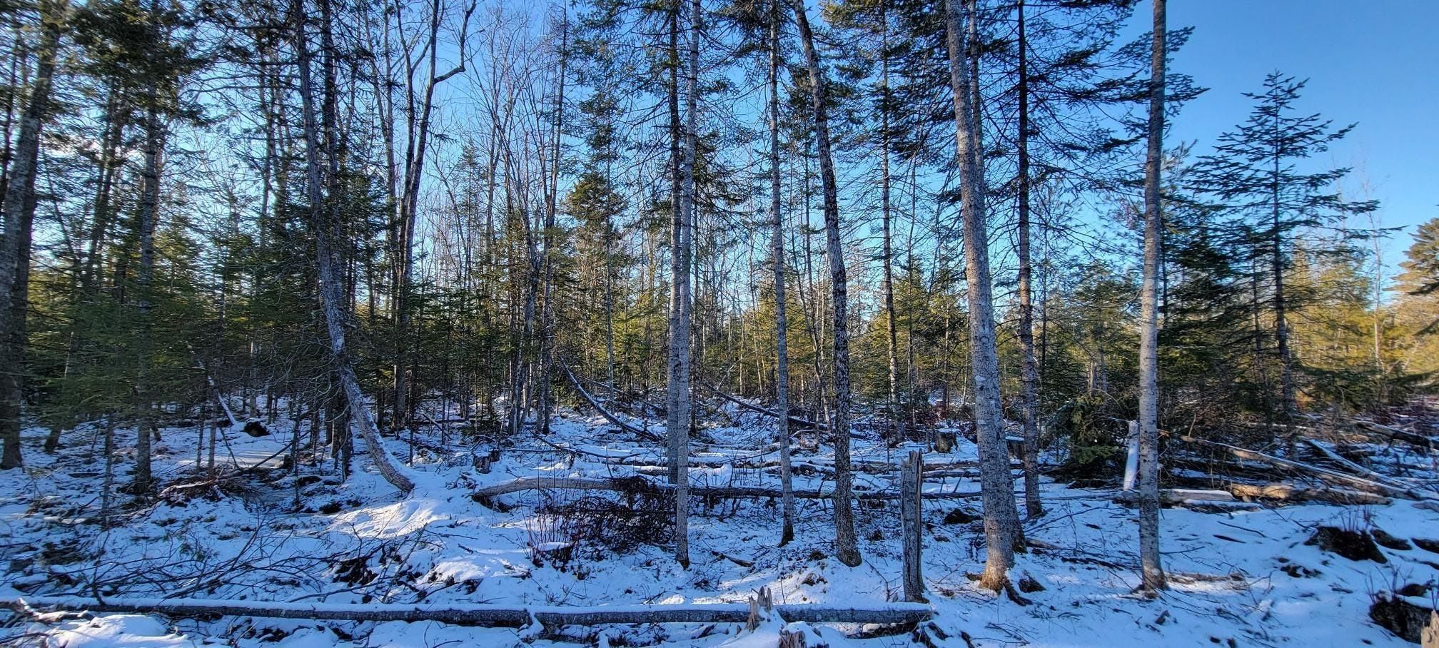 165 acres in Somerset County, Maine