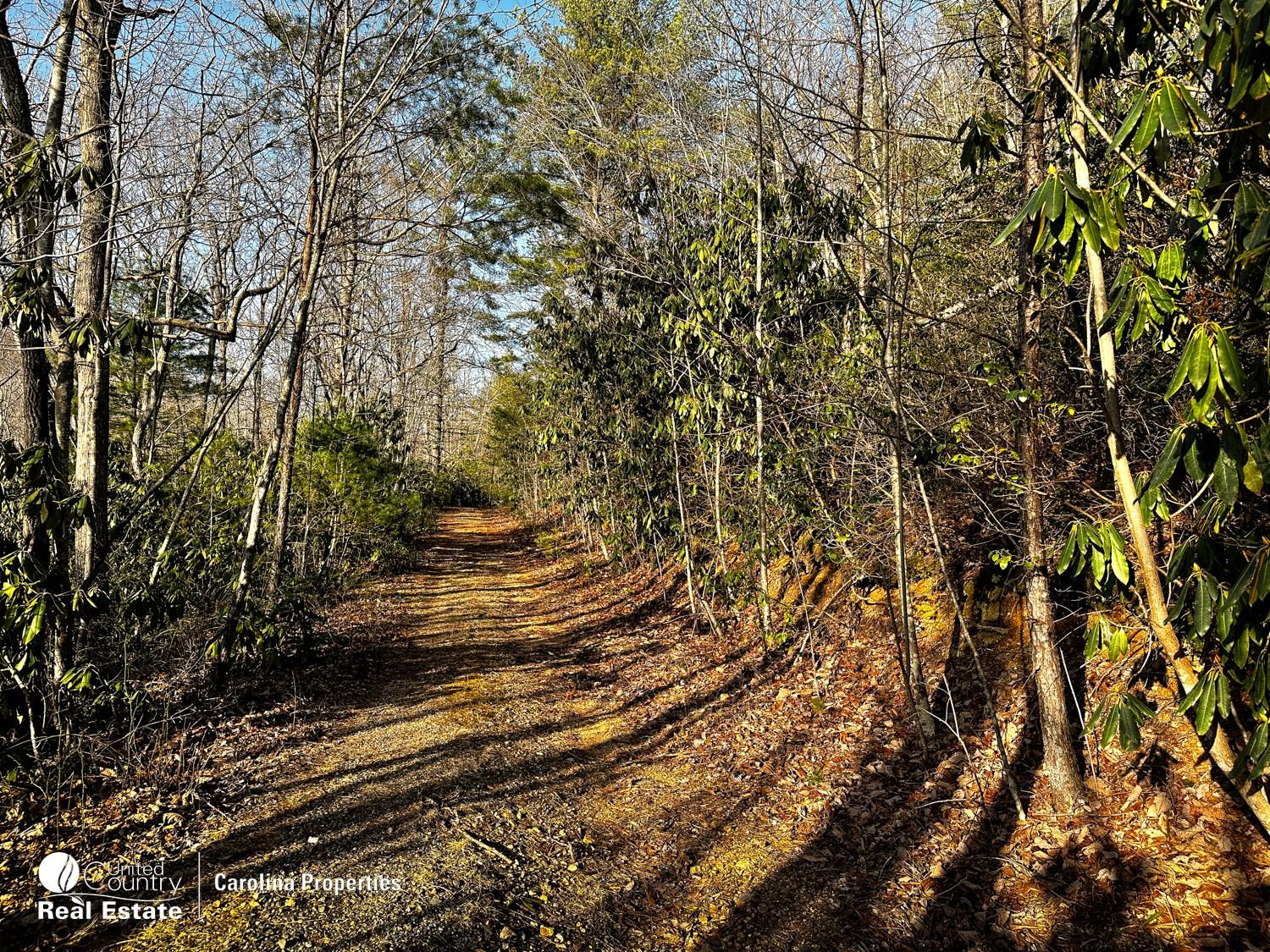 Wandering Walk Rd, Lowgap, NC 27024 MLS 1098343