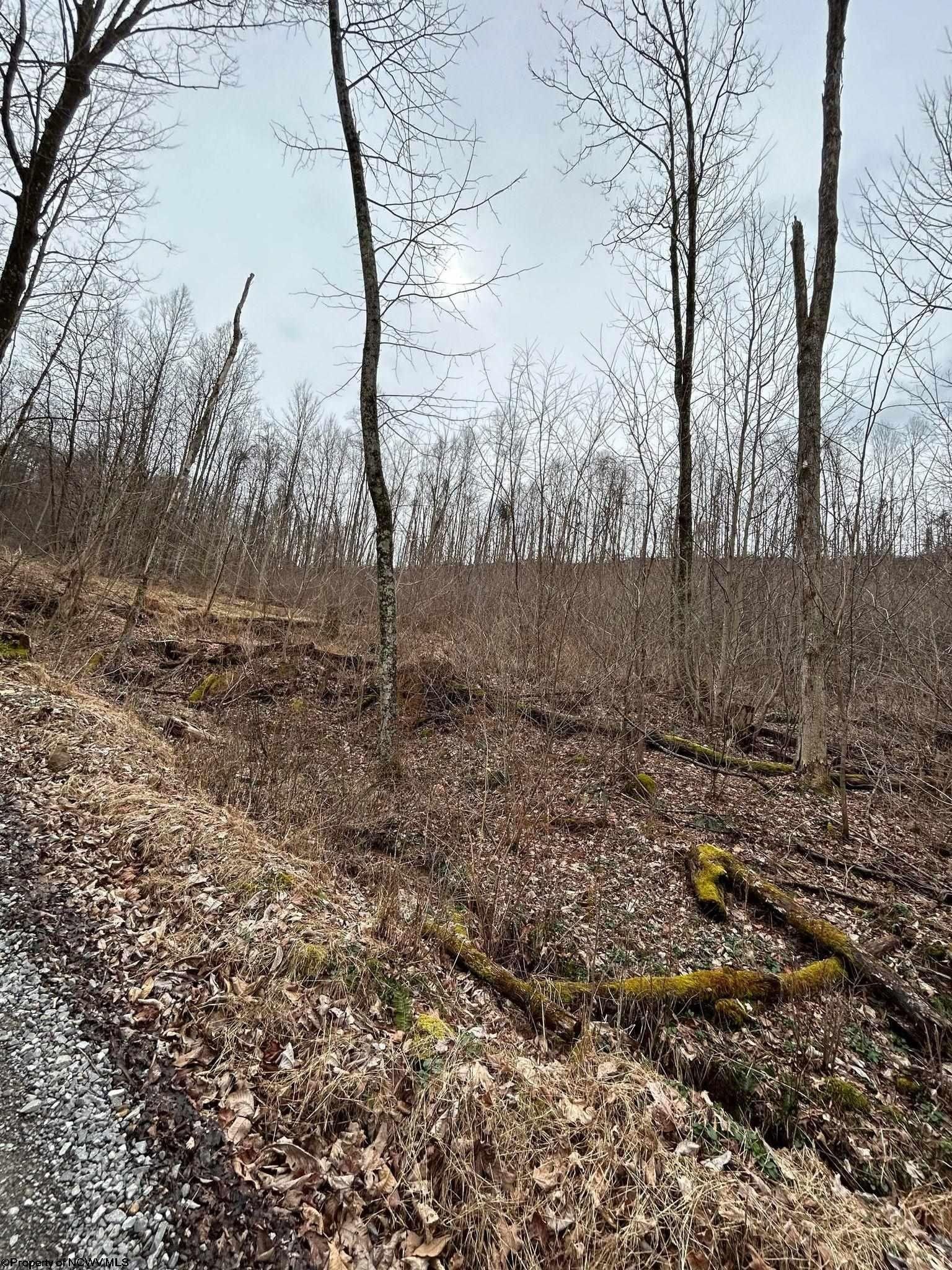 6 acres in Upshur County, West Virginia