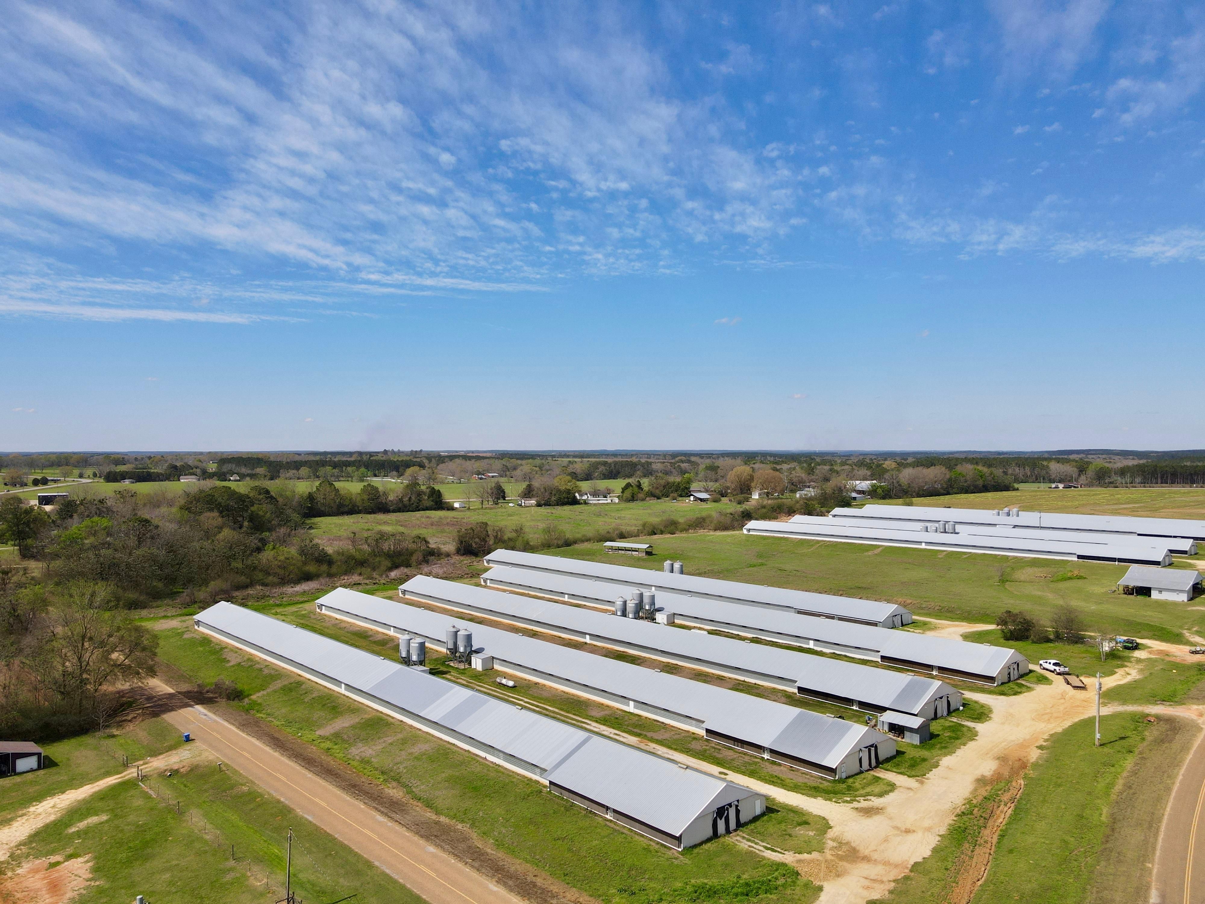 39 acres in Coffee County, Alabama