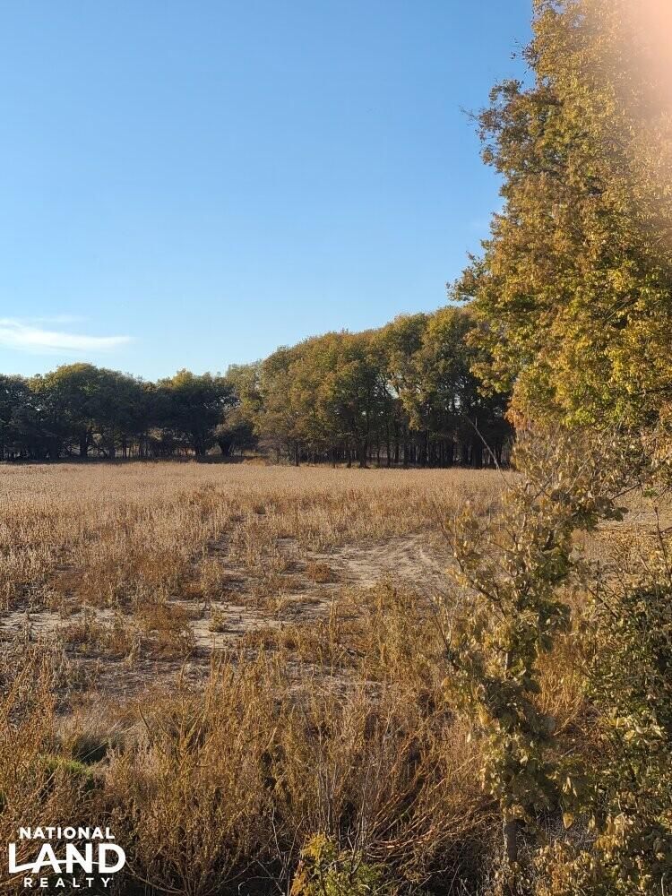 200 acres in Phillips County, Kansas