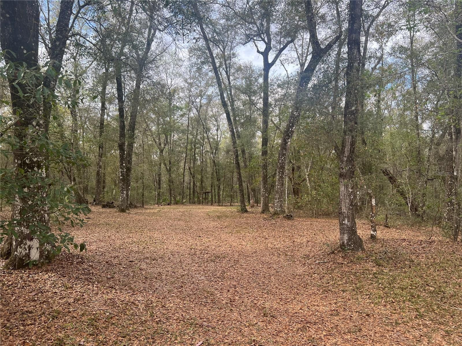2 acres in Dixie County, Florida