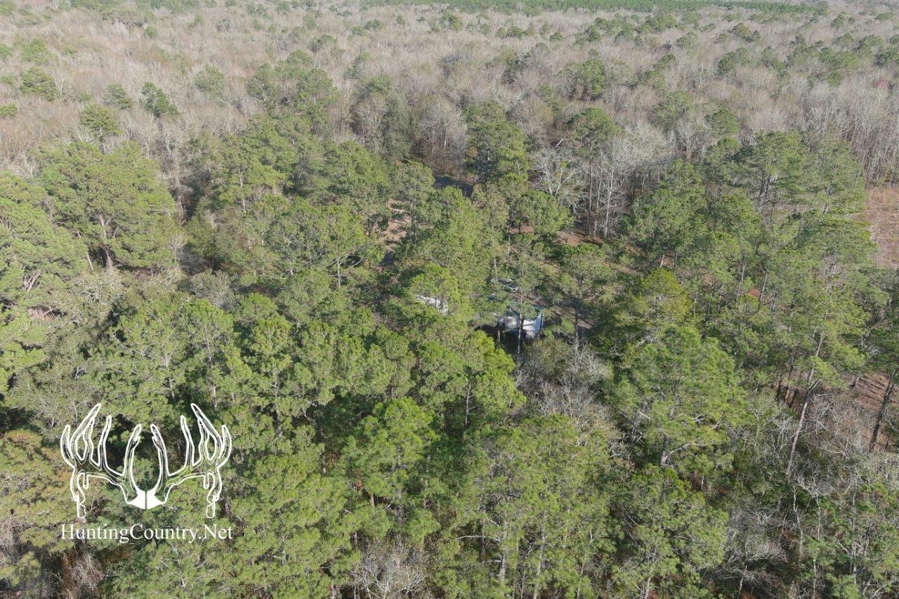 272 acres in Mayo, FL, 32066 MLS FL604