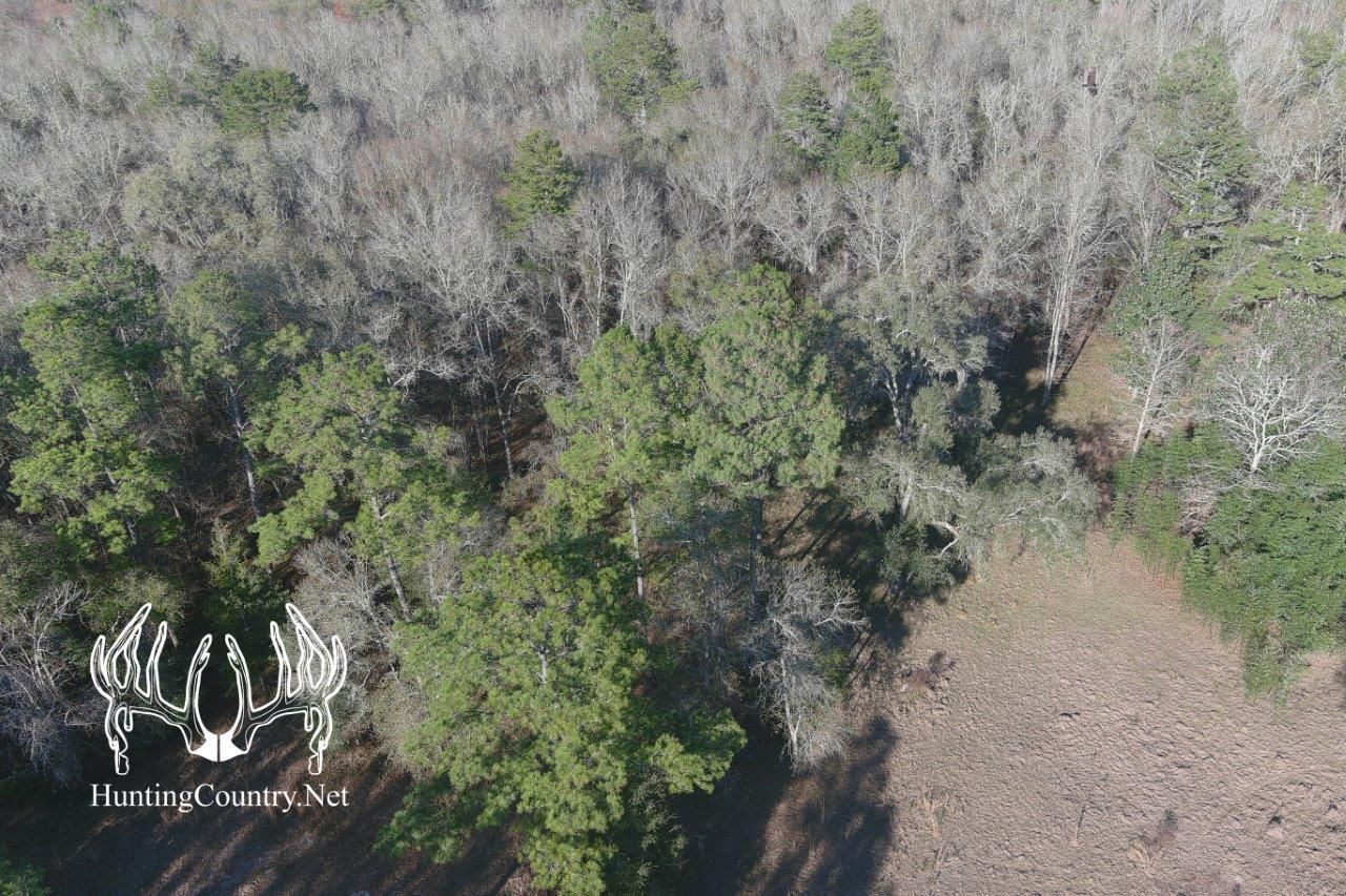 48 acres in Lafayette County, Florida