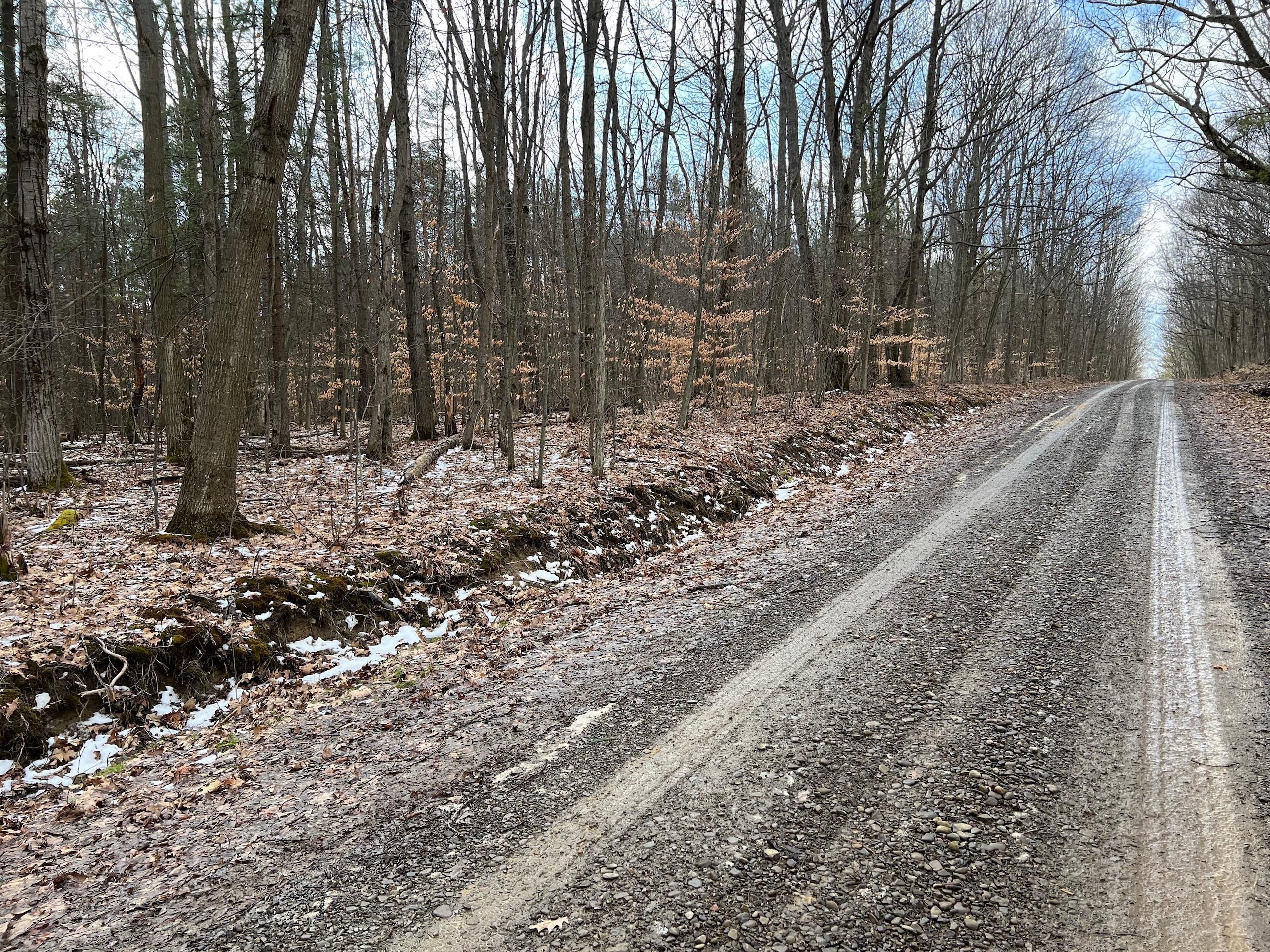 9.6 acres in Allegany County, New York