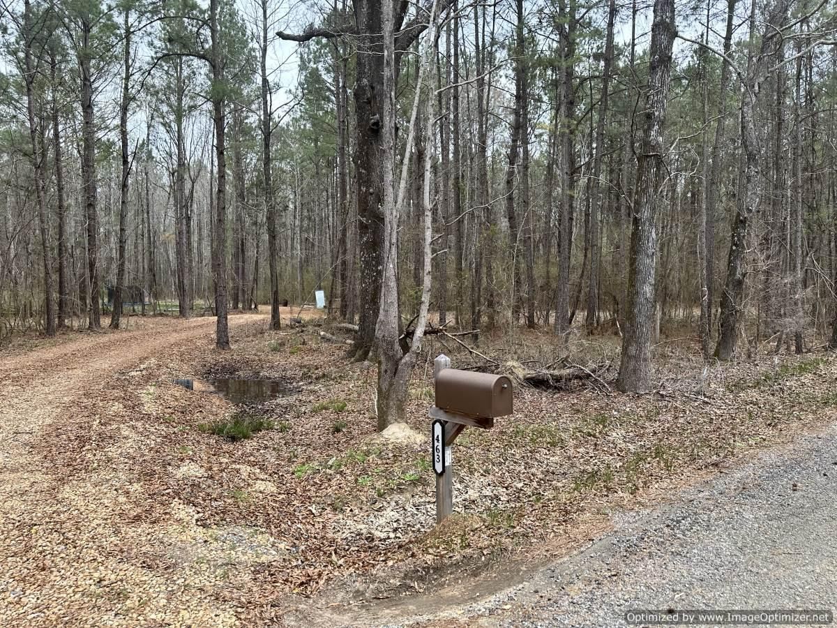 14.2 acres in Rankin County, Mississippi