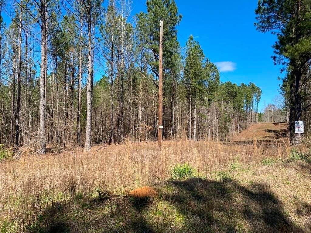 105 acres in Tishomingo County, Mississippi