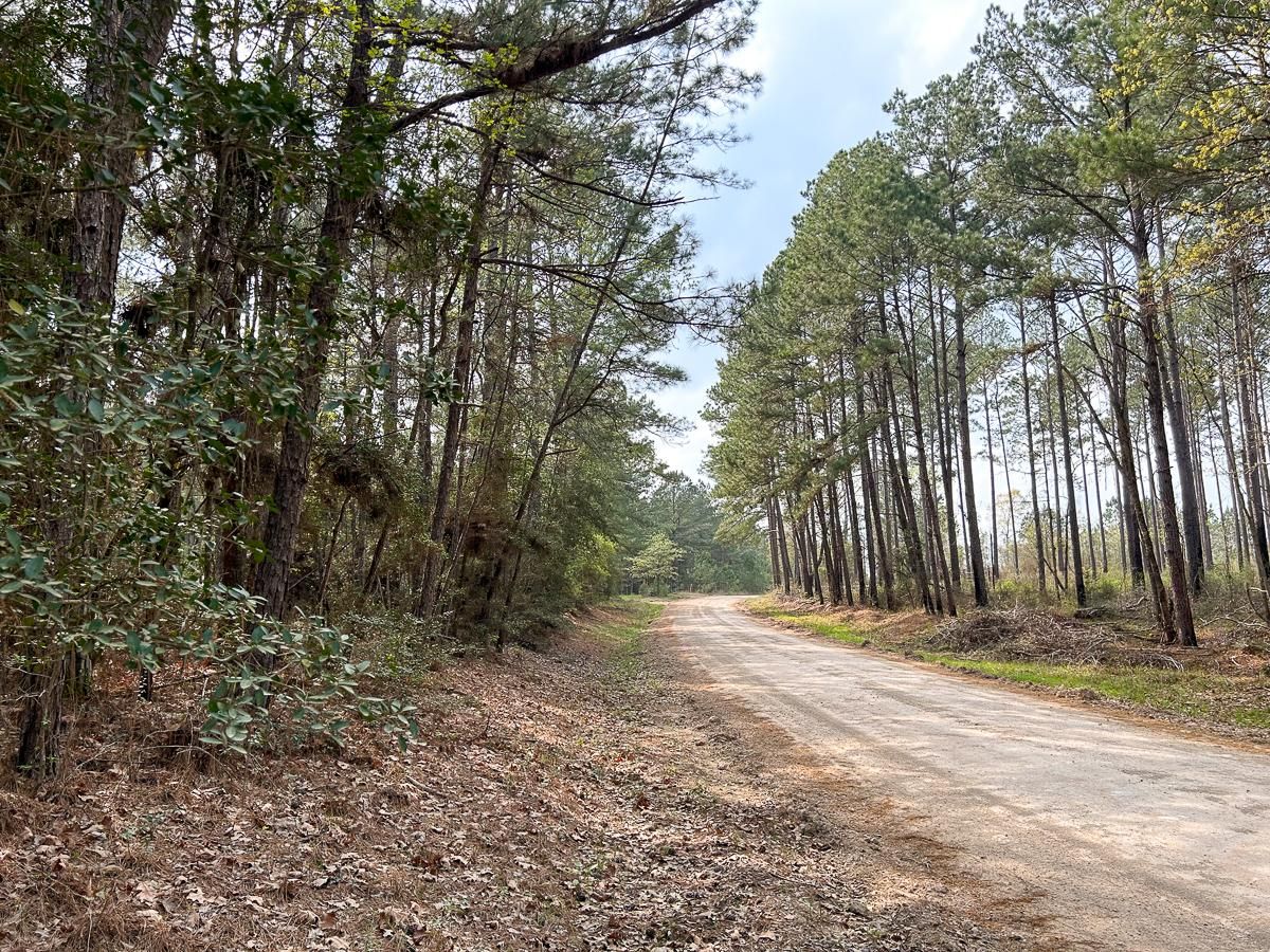 30 acres in San Jacinto County, Texas