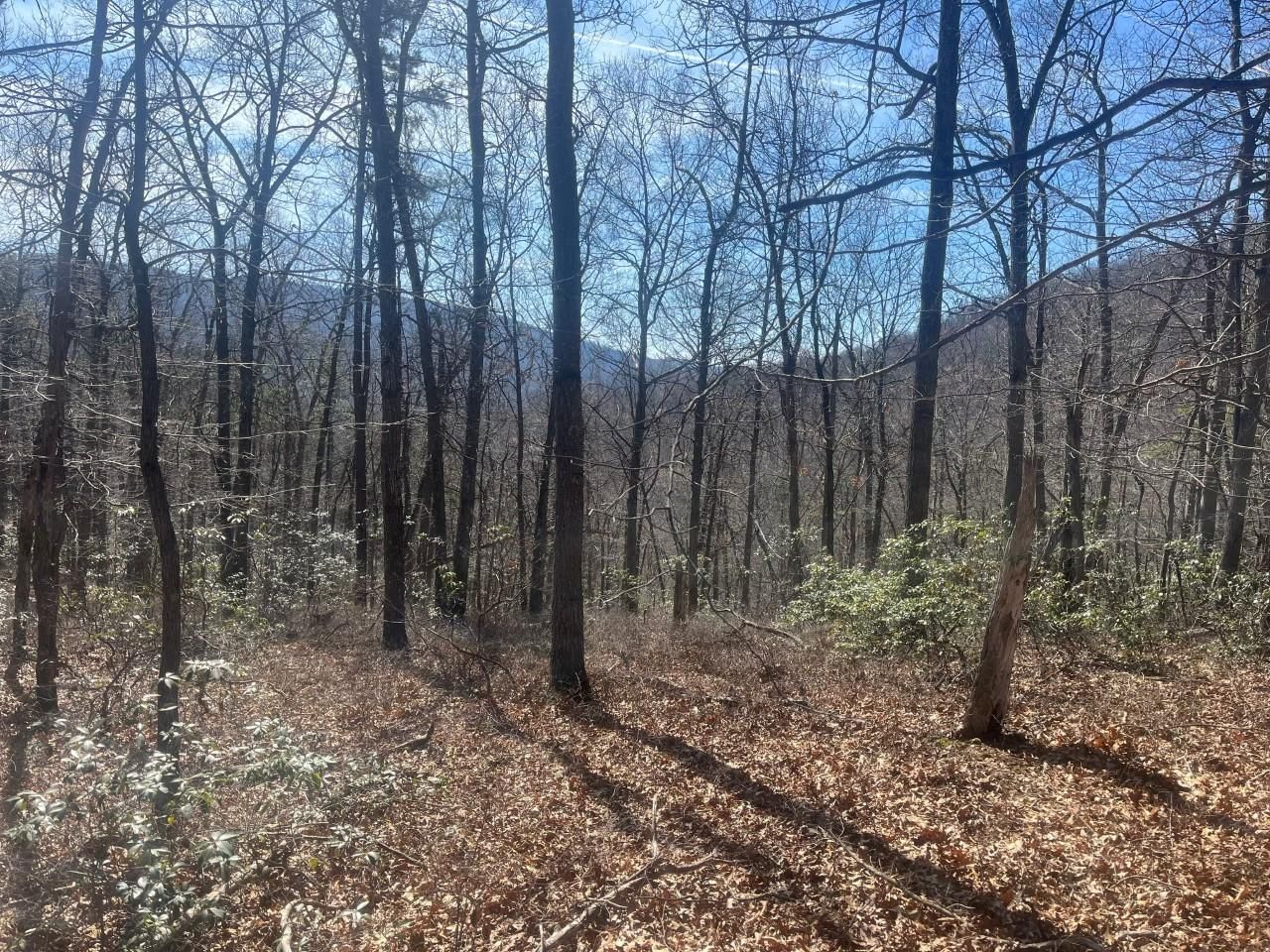 20.02 acres in Hardy County, West Virginia
