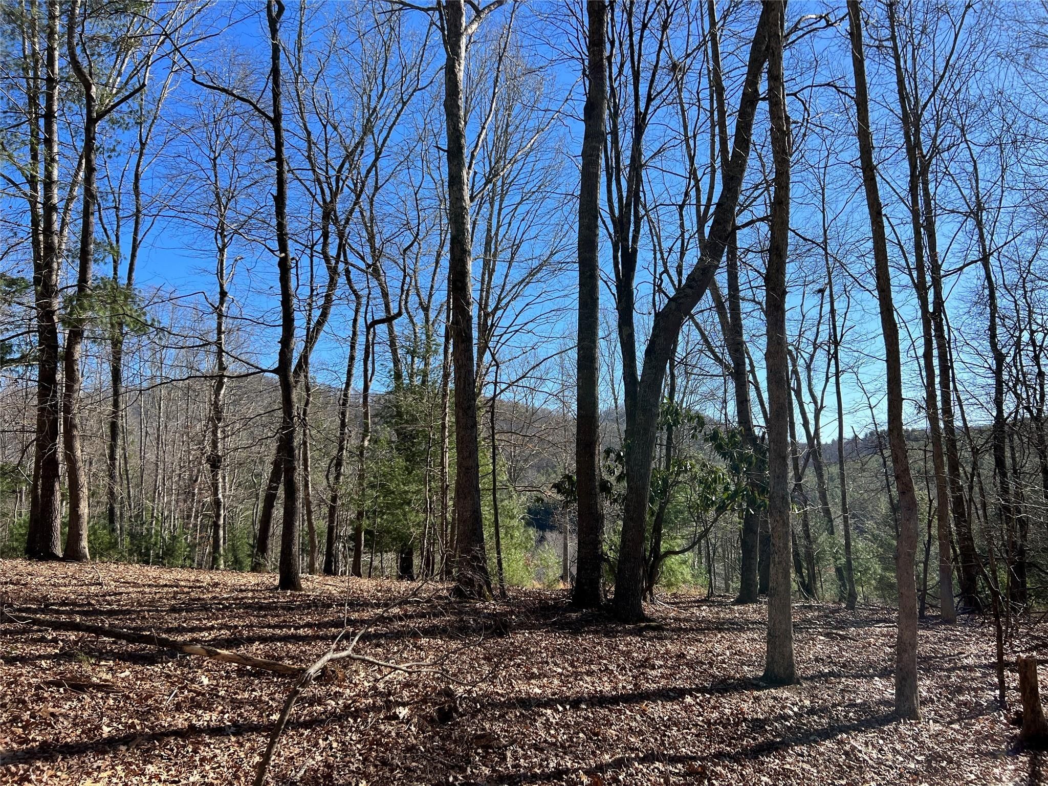 Homes For Sale Ashe County Nc - sb994o5