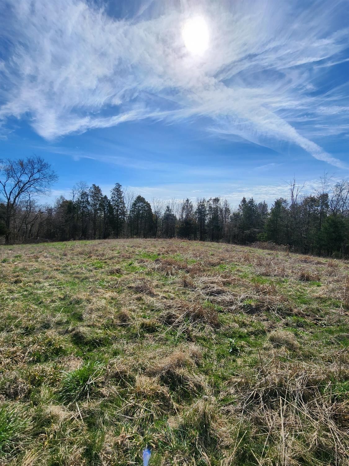 16.33 acres in Switzerland County, Indiana