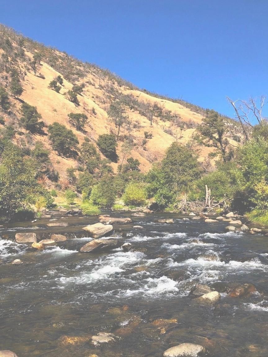 20 acres in Alpine County, California