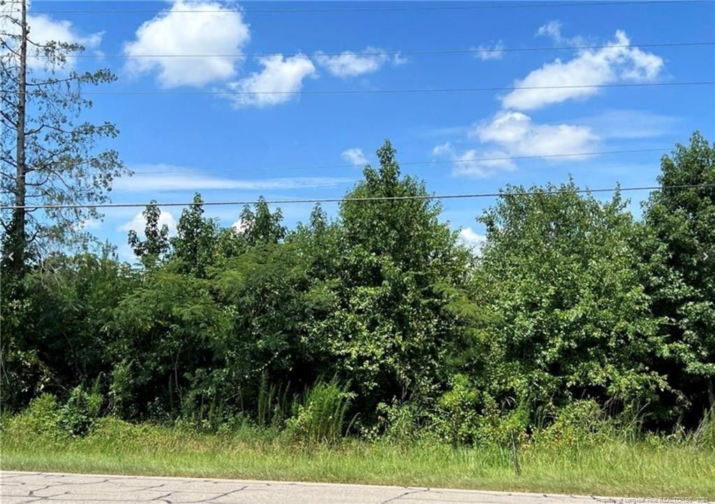 5.03 acres in Lee County, North Carolina