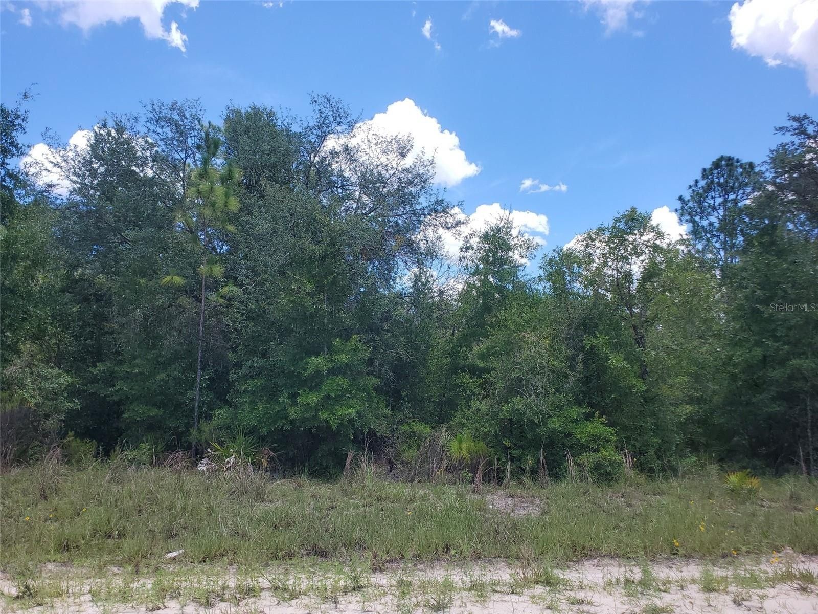 1.39 acres in Levy County, Florida