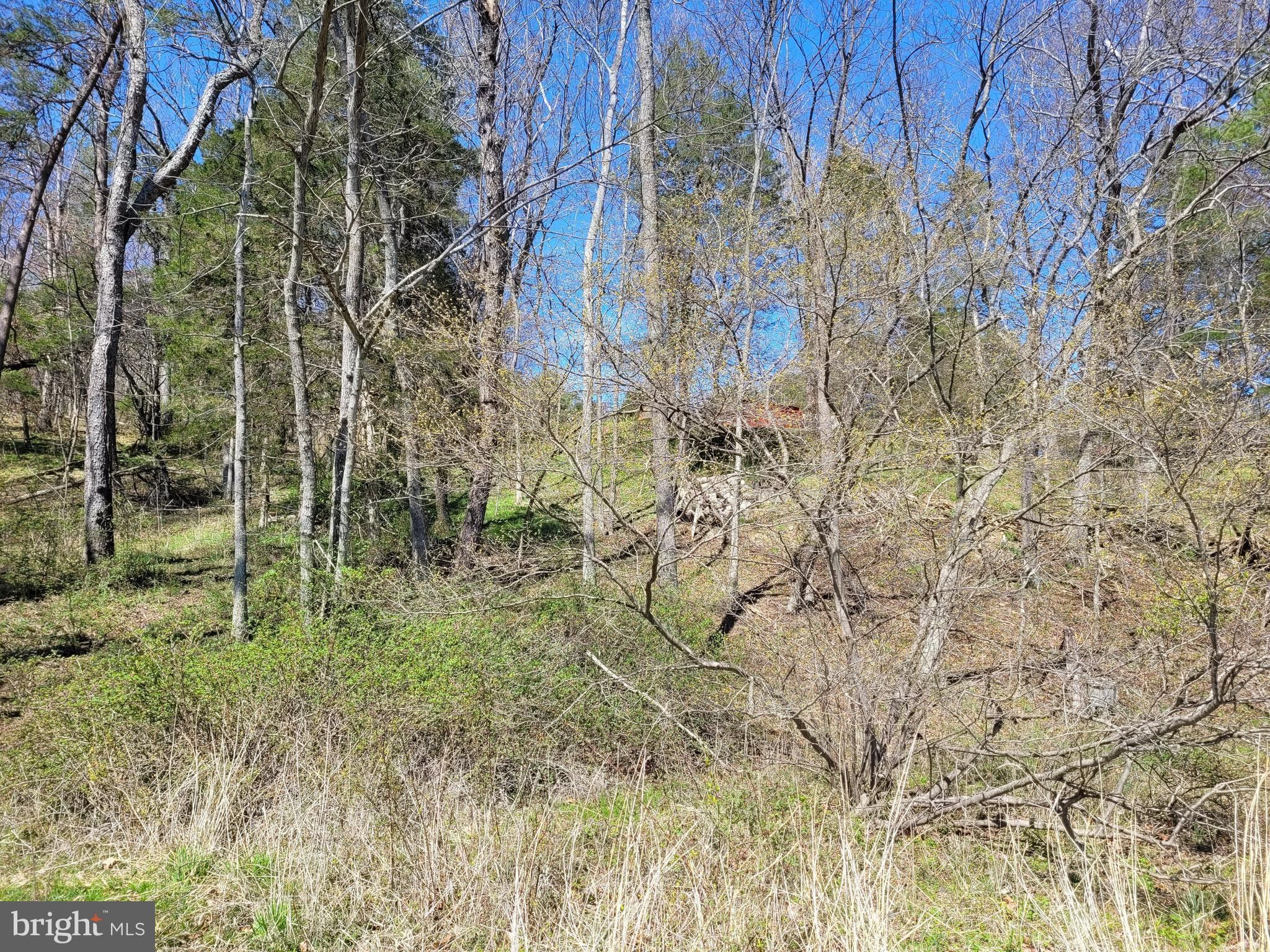 1 acres in Shenandoah County, Virginia