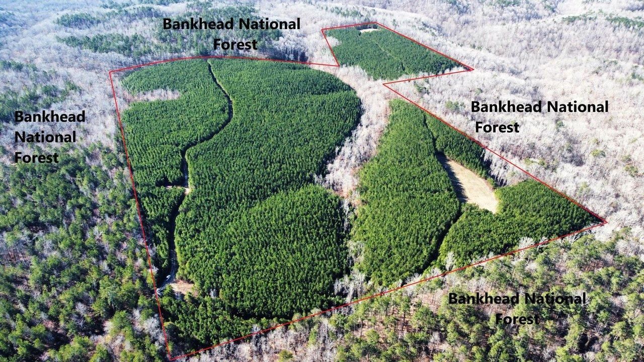 84.73 acres in Franklin County, Alabama