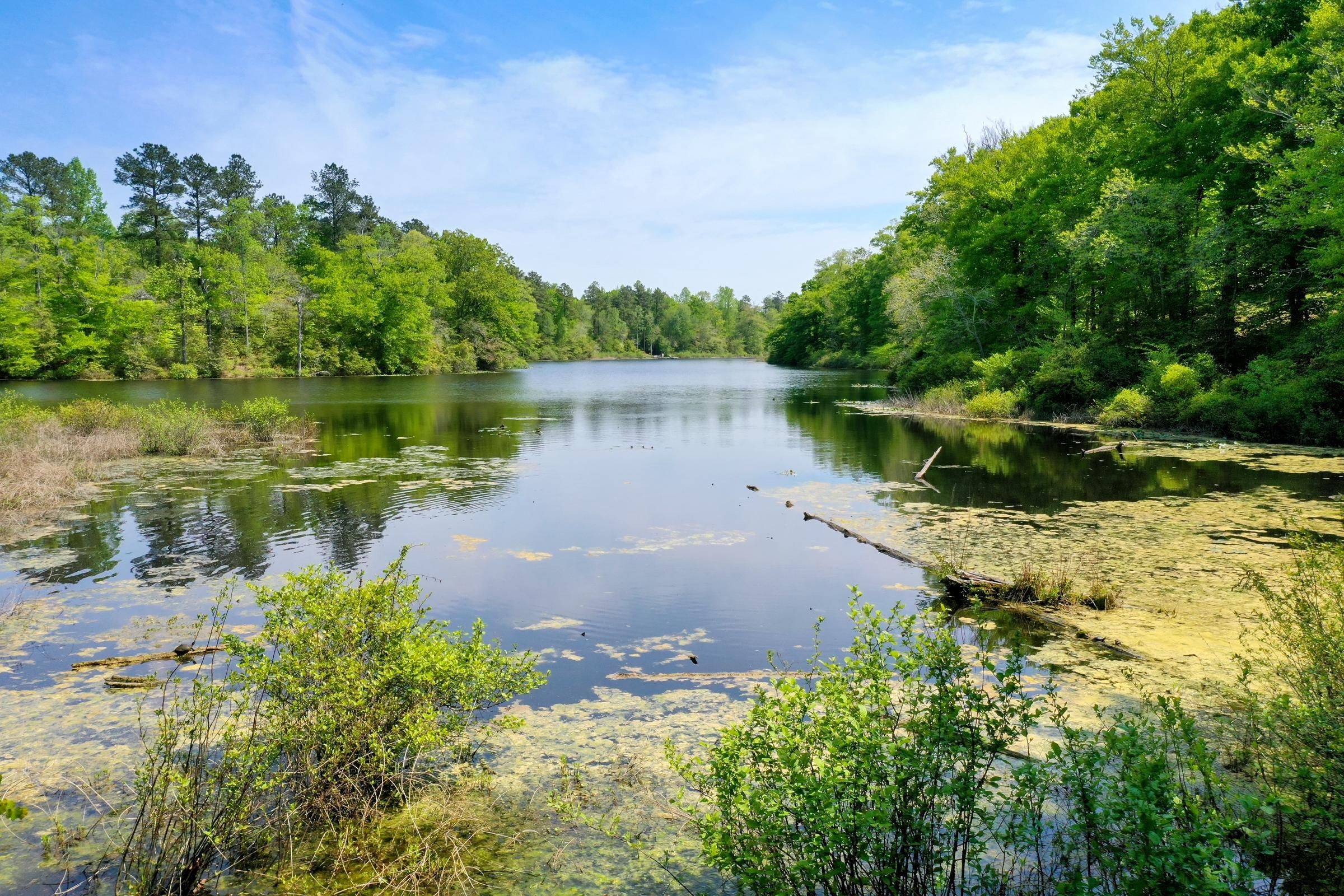 16.5 acres in New Kent County, Virginia