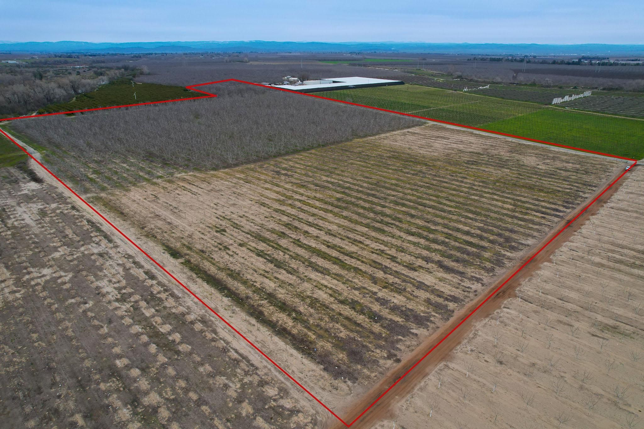 85 acres in Yuba County, California