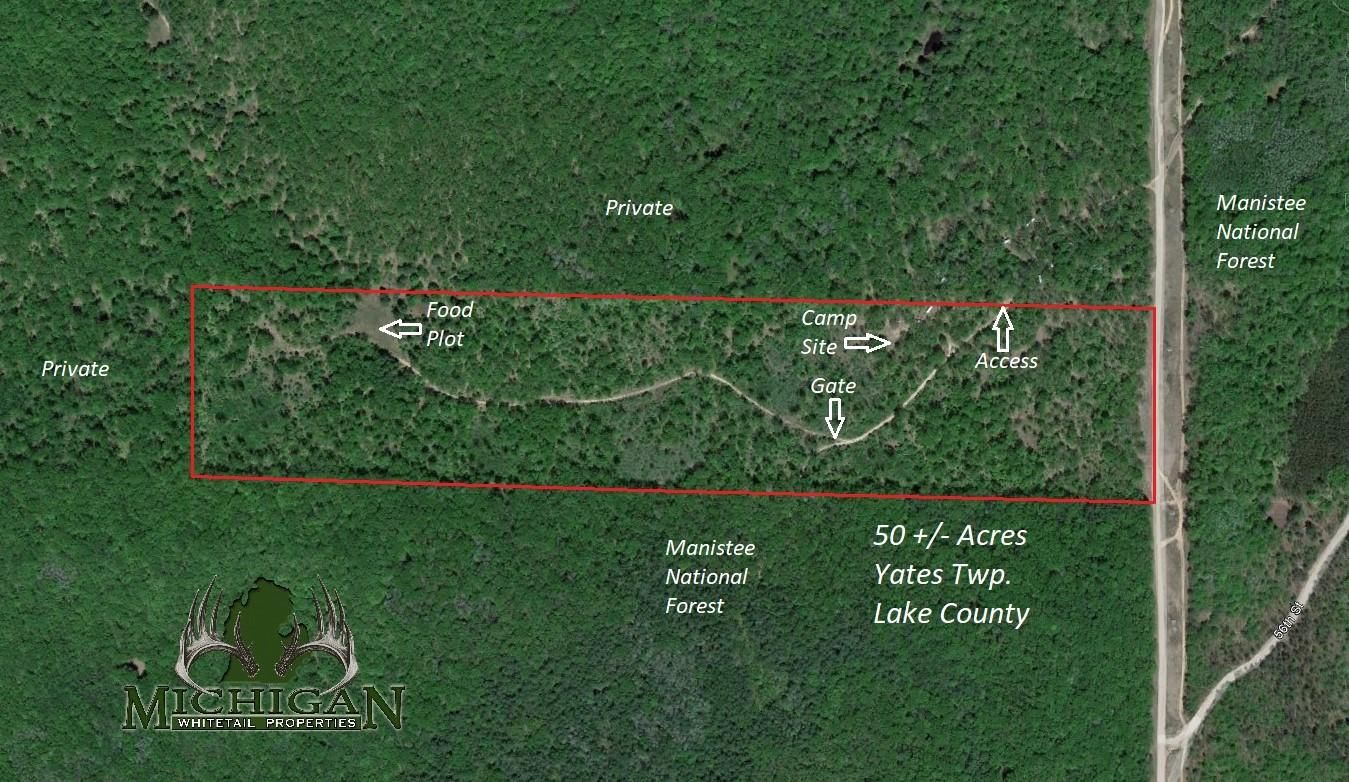 50 acres in Lake County, Michigan