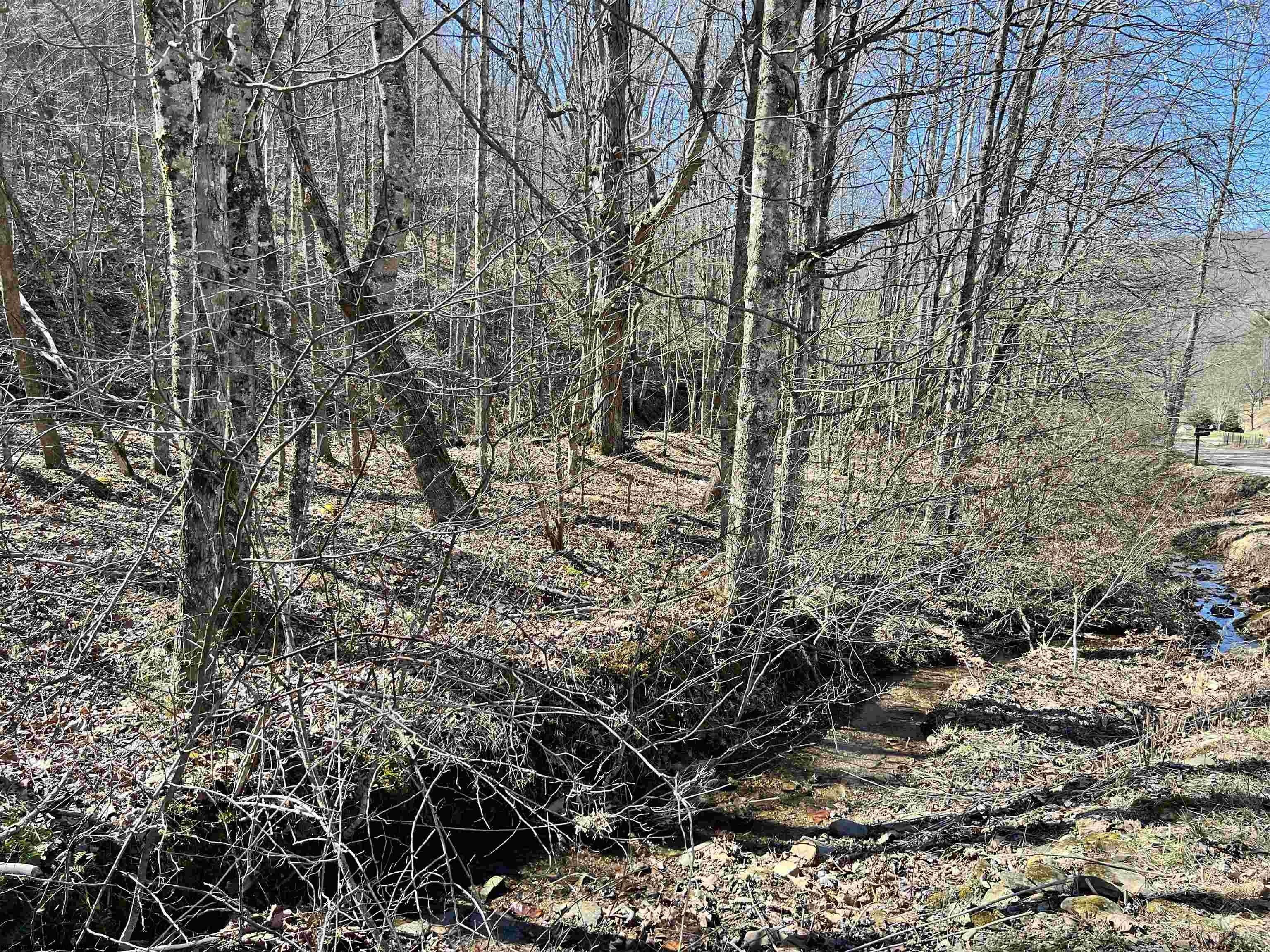46.3 acres in Randolph County, West Virginia