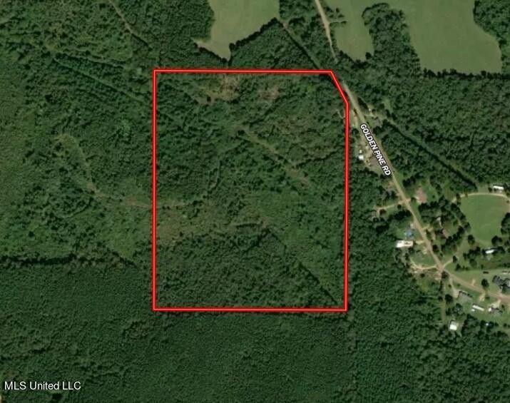 40 acres in Jefferson Davis County, Mississippi