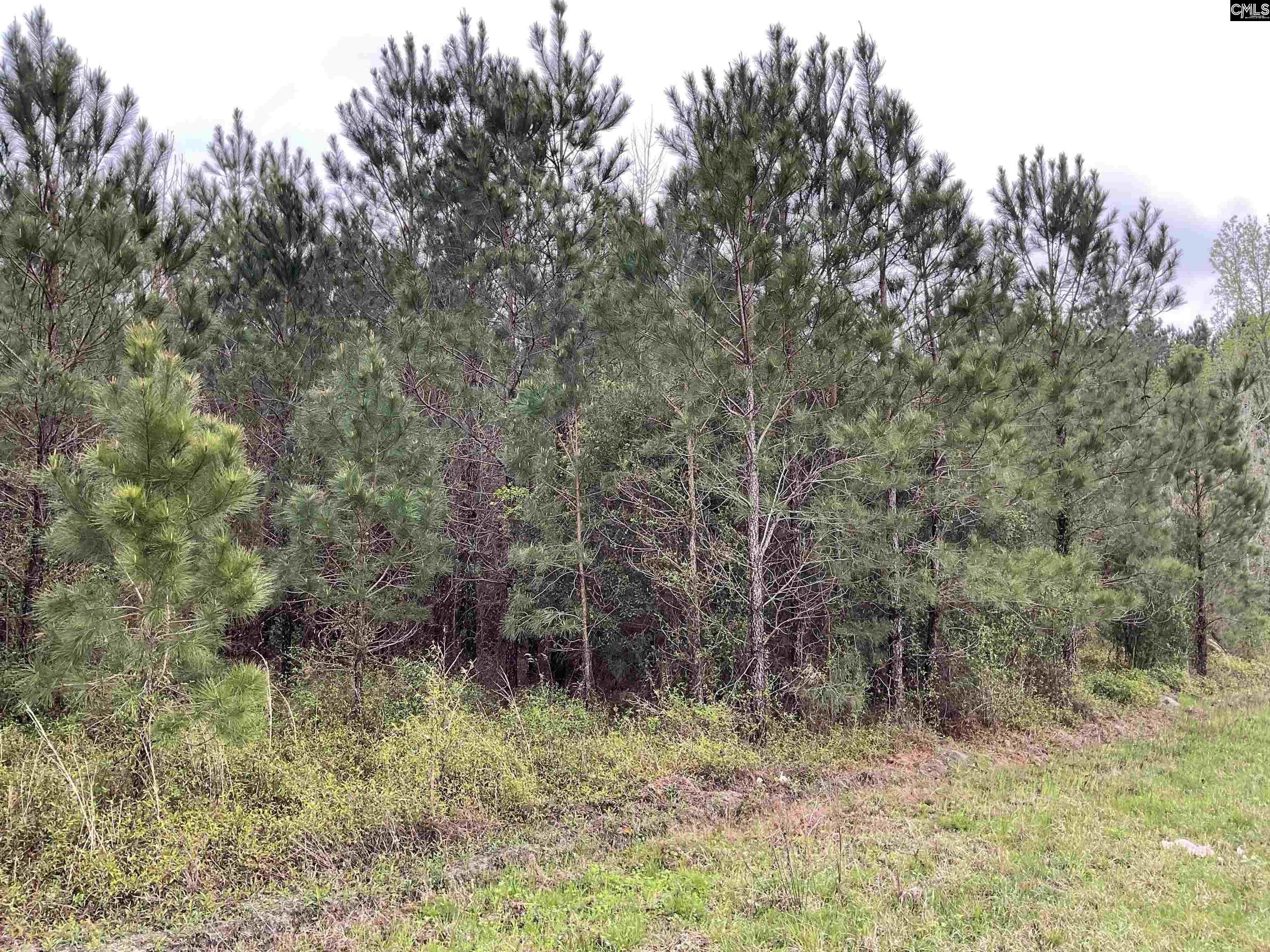 14.8 acres in Allendale County, South Carolina