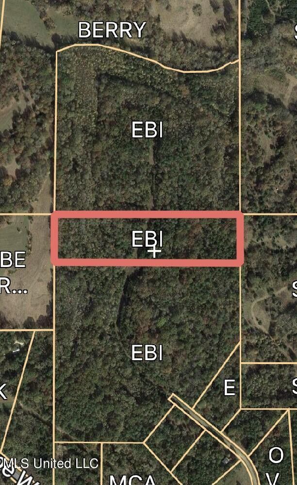 80 acres in Panola County, Mississippi