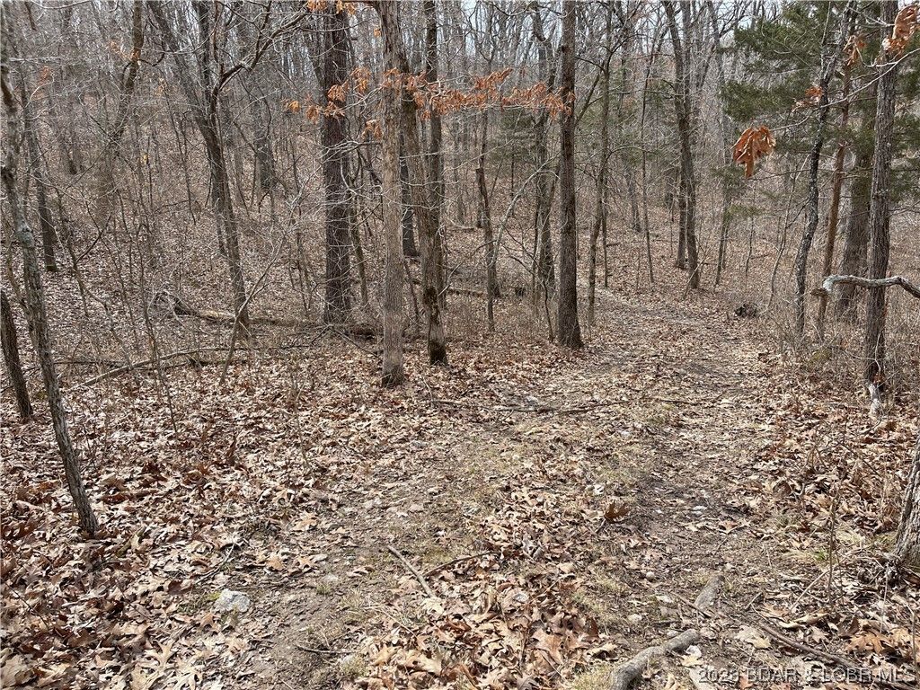 90 acres in Benton County, Missouri