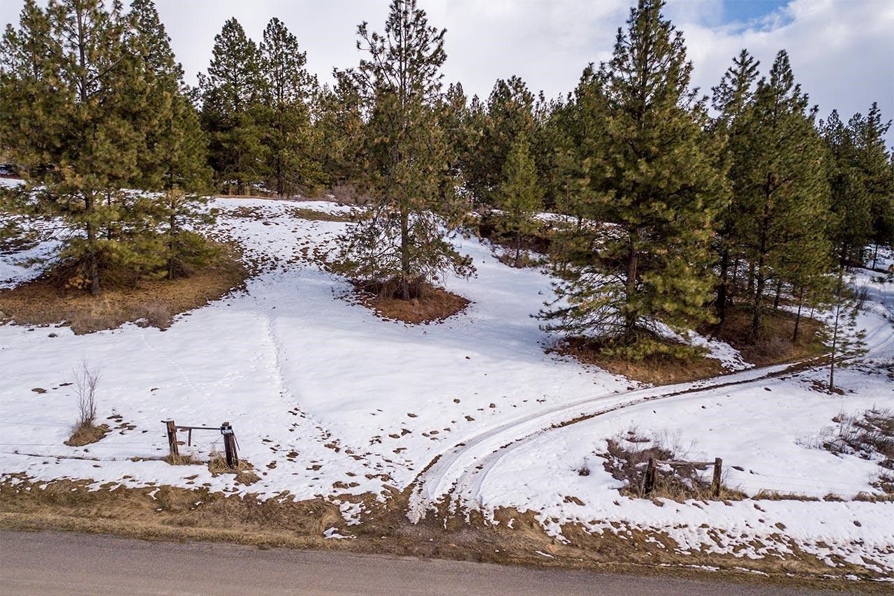 20 acres in Stevens County, Washington