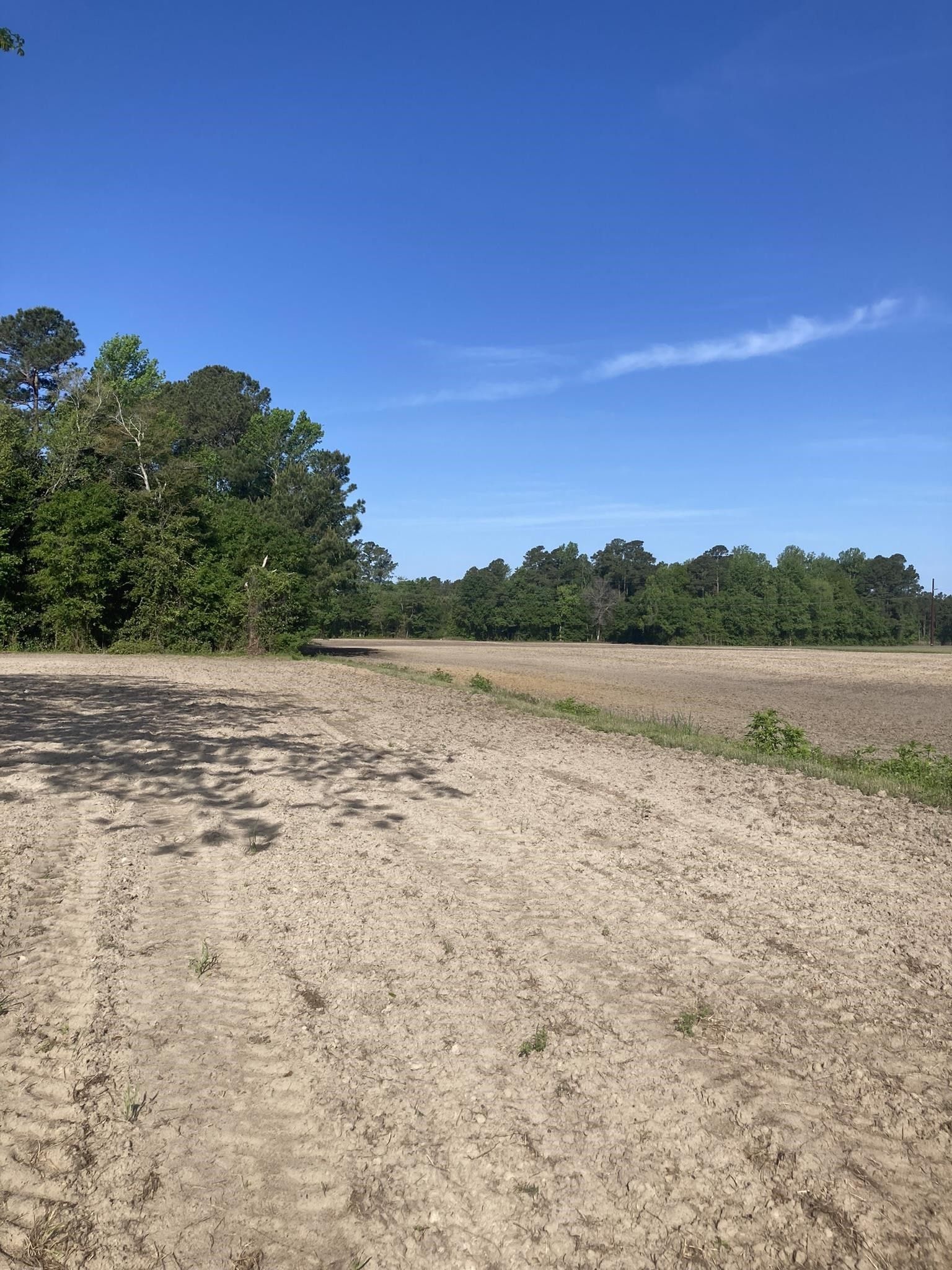 64.4 acres in Horry County, South Carolina