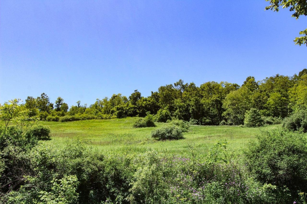 202.06 acres in Harrison County, Ohio