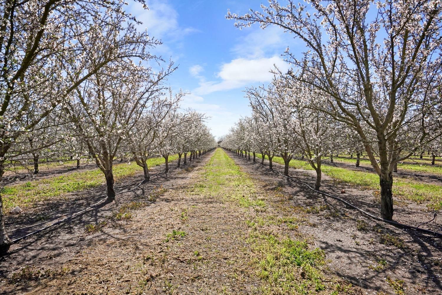 186.88 acres in San Joaquin County, California