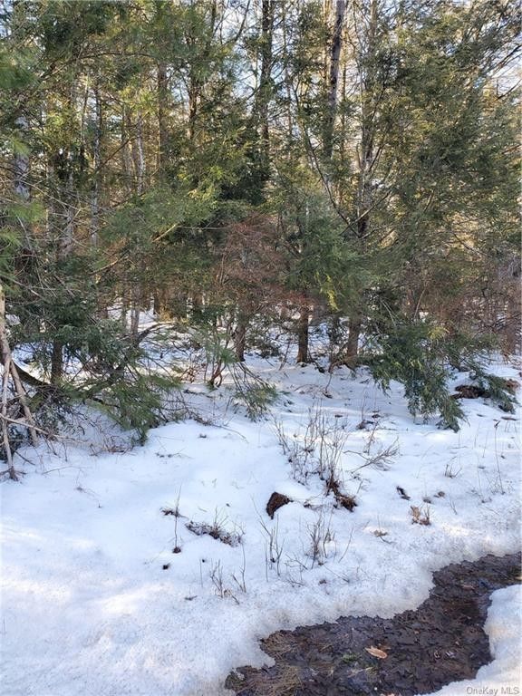 7 acres in Ulster County, New York