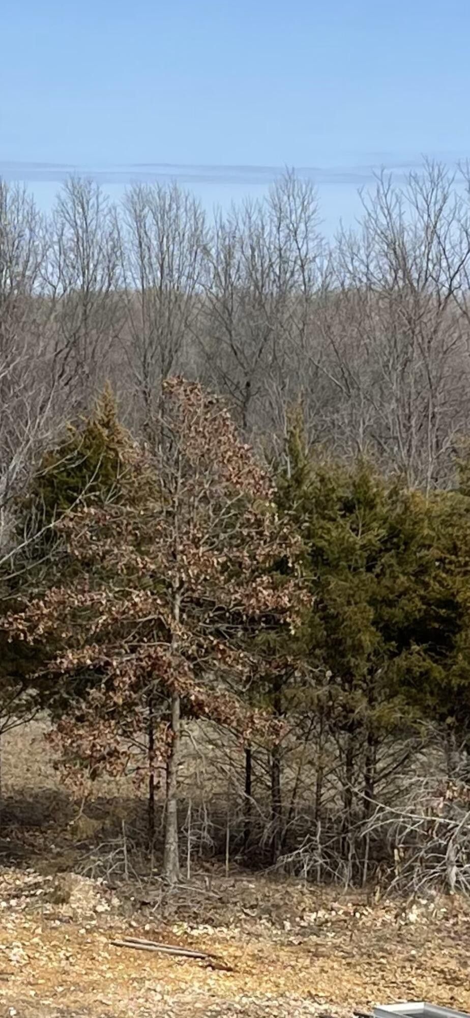 5 acres in Cedar County, Missouri