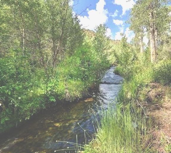 20 acres in Jackson County, Colorado