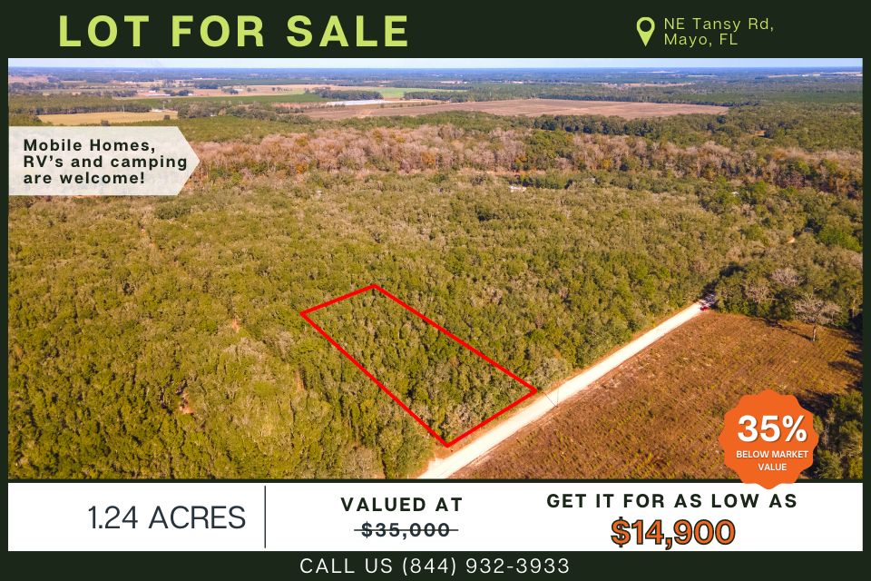 1.24 acres in Lafayette County, Florida
