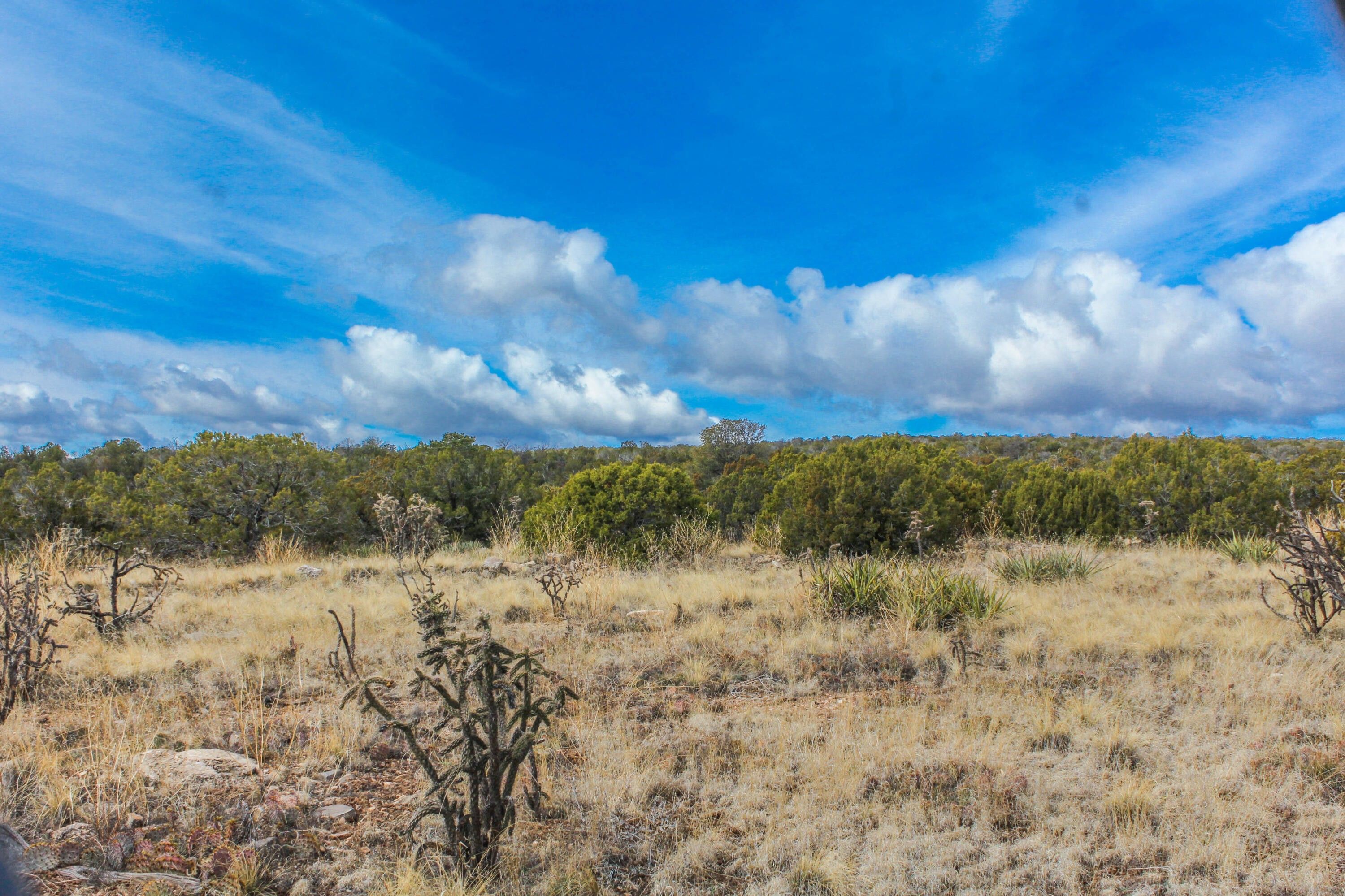 5 acres in Santa Fe County, New Mexico