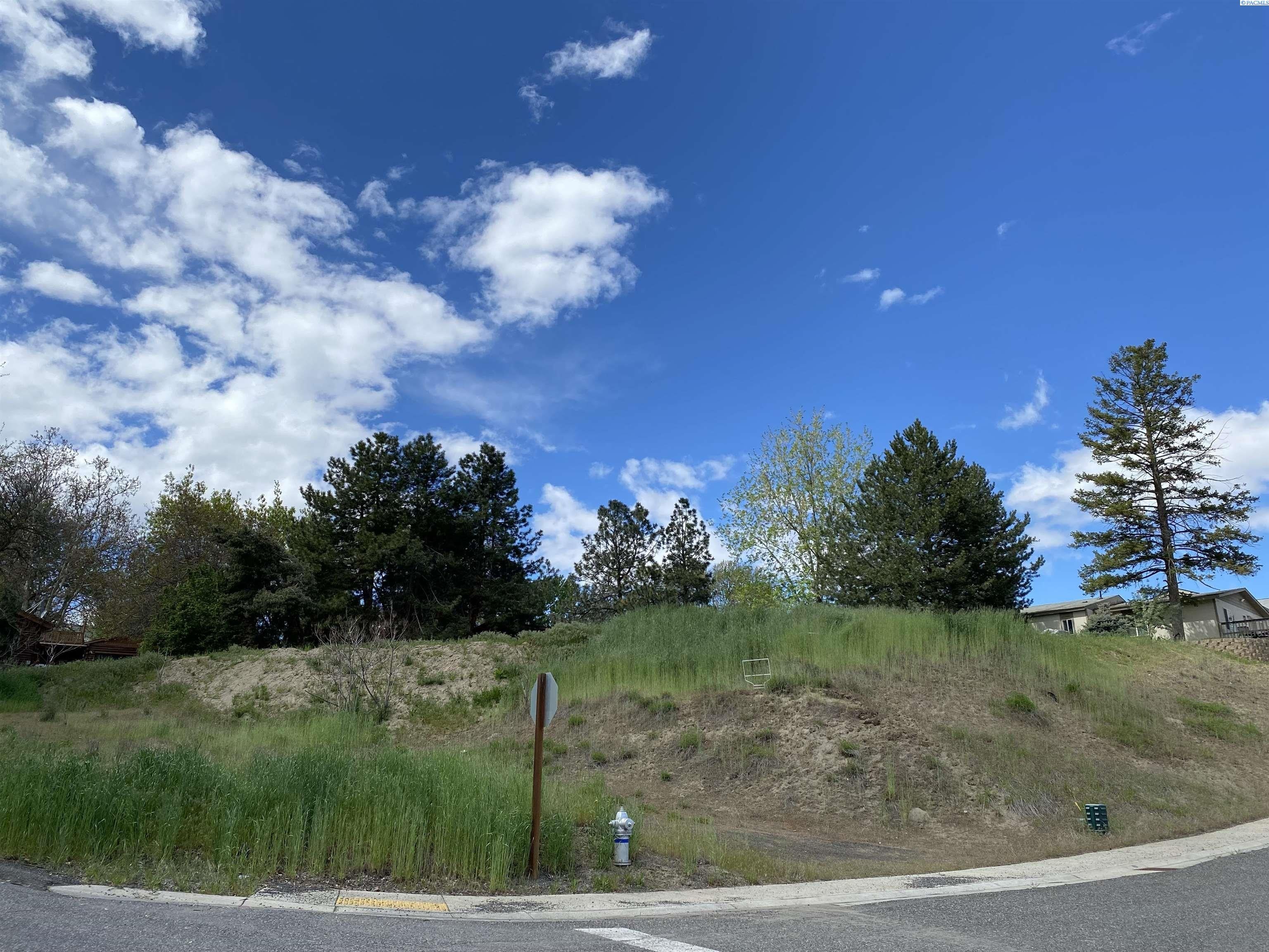 0.41 acres in Asotin County, Washington