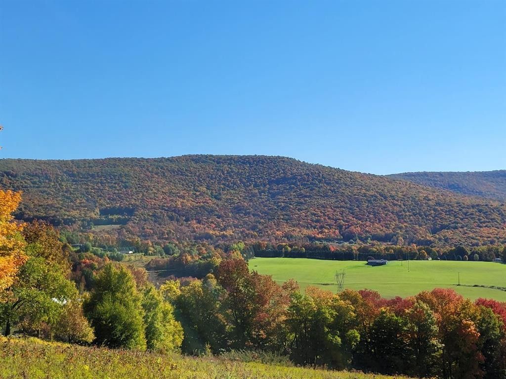 5.5 acres in Delaware County, New York