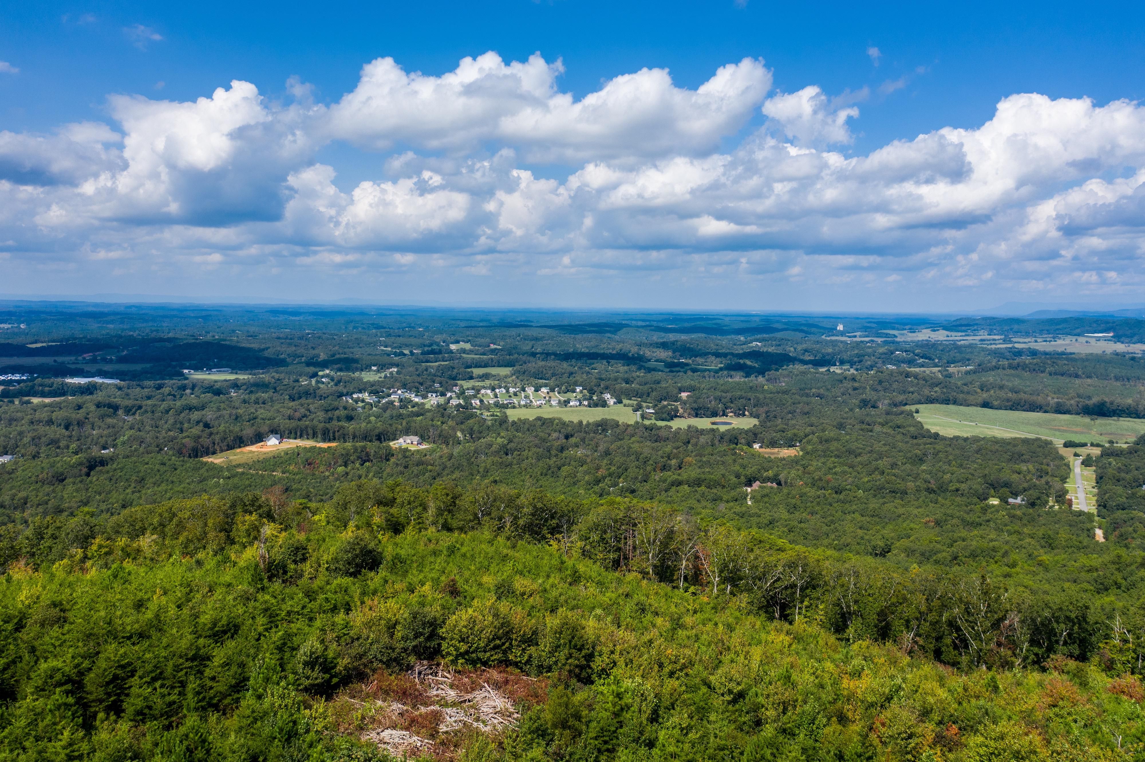 309 acres in Bartow County,