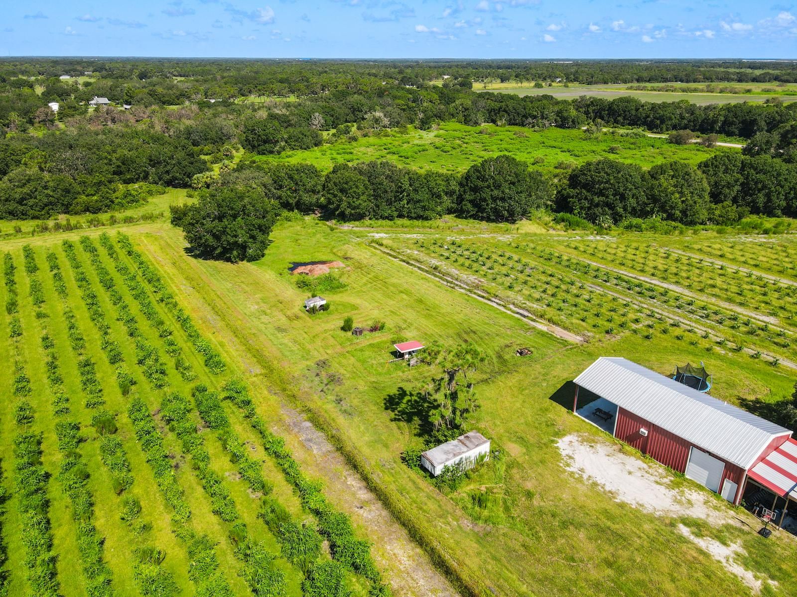 81.12 acres in Manatee County, Florida