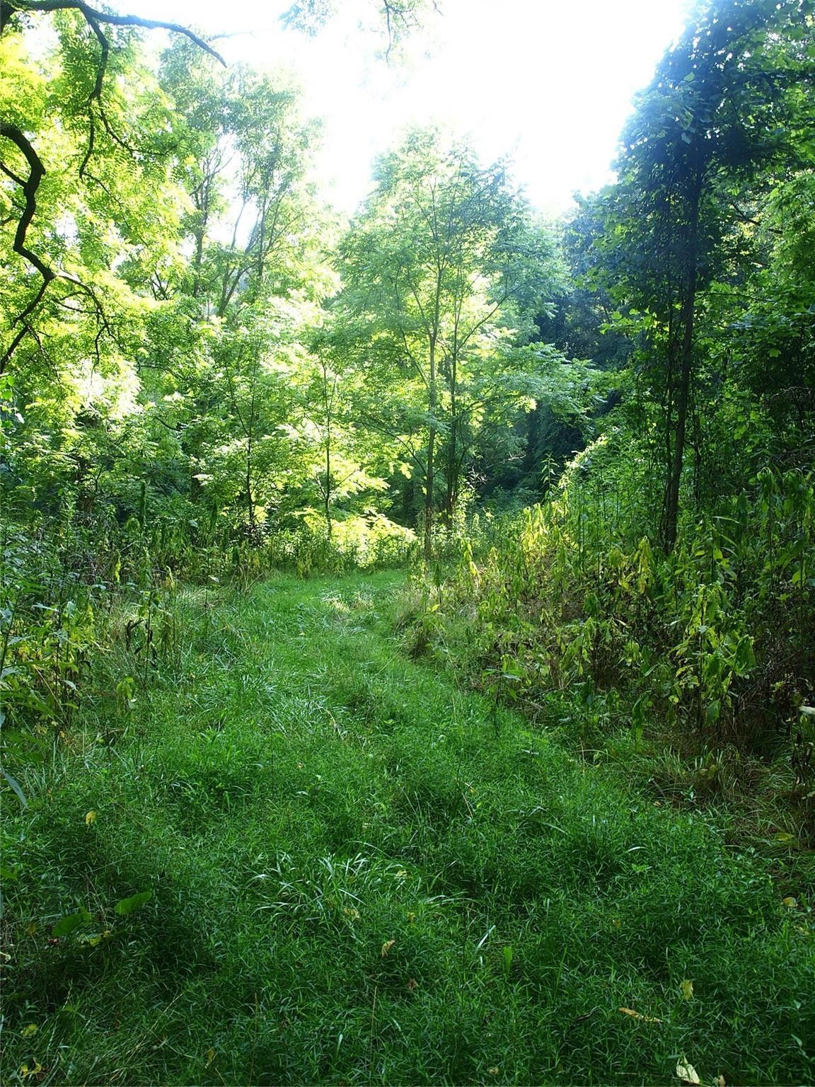 10.03 acres in Haywood County, North Carolina