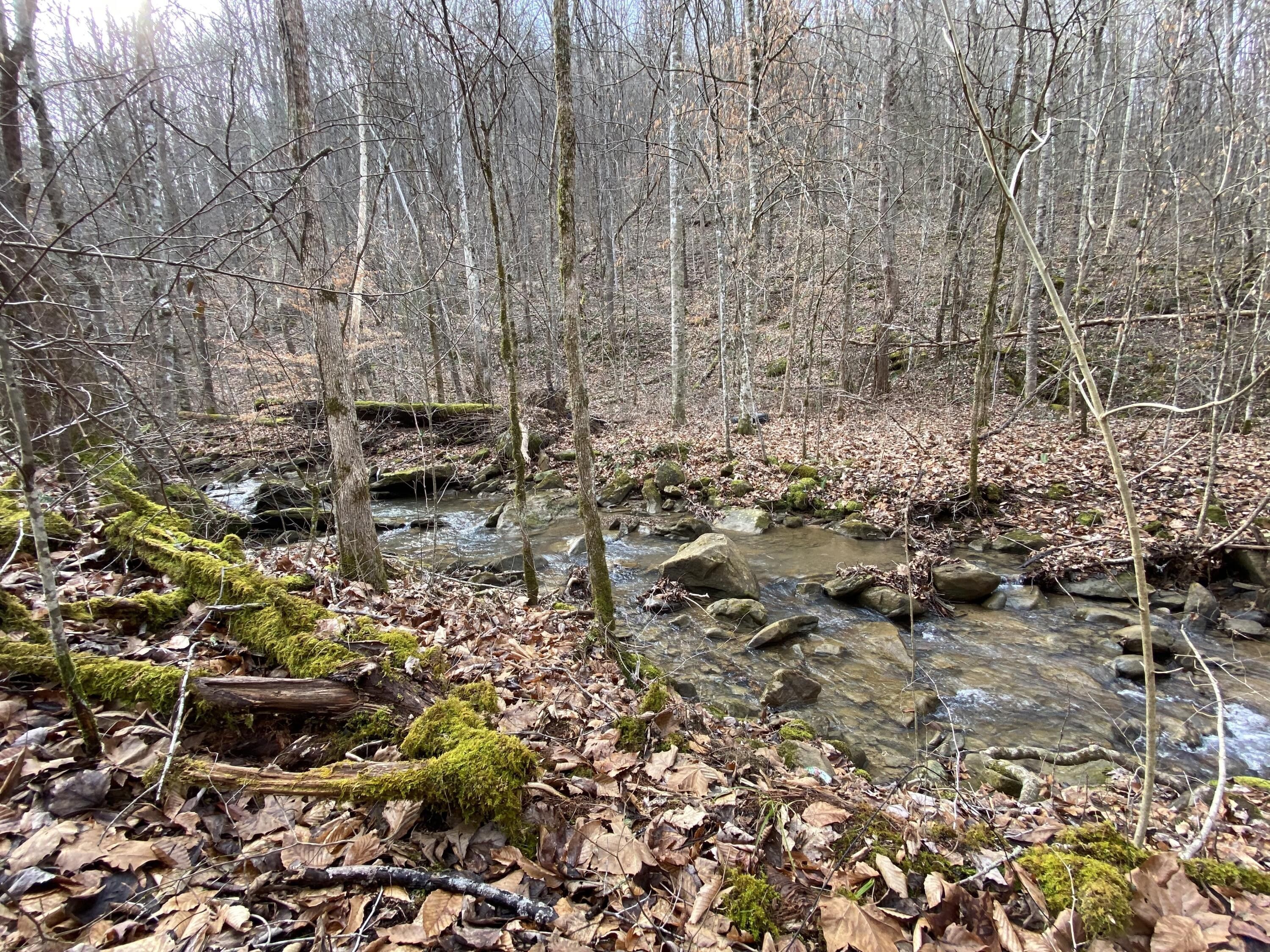 91 acres in Knox County, Kentucky