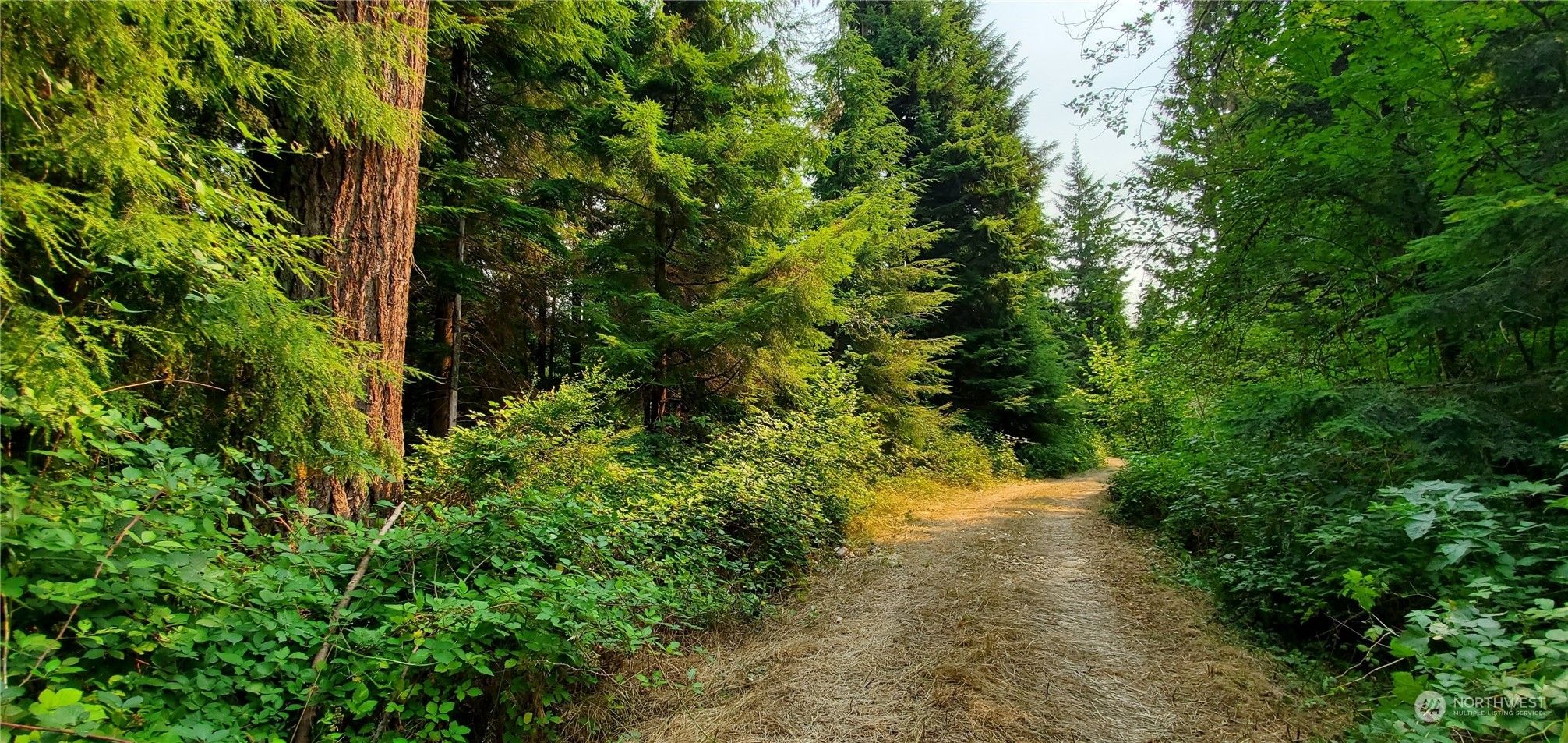 62 acres in Snohomish County, Washington