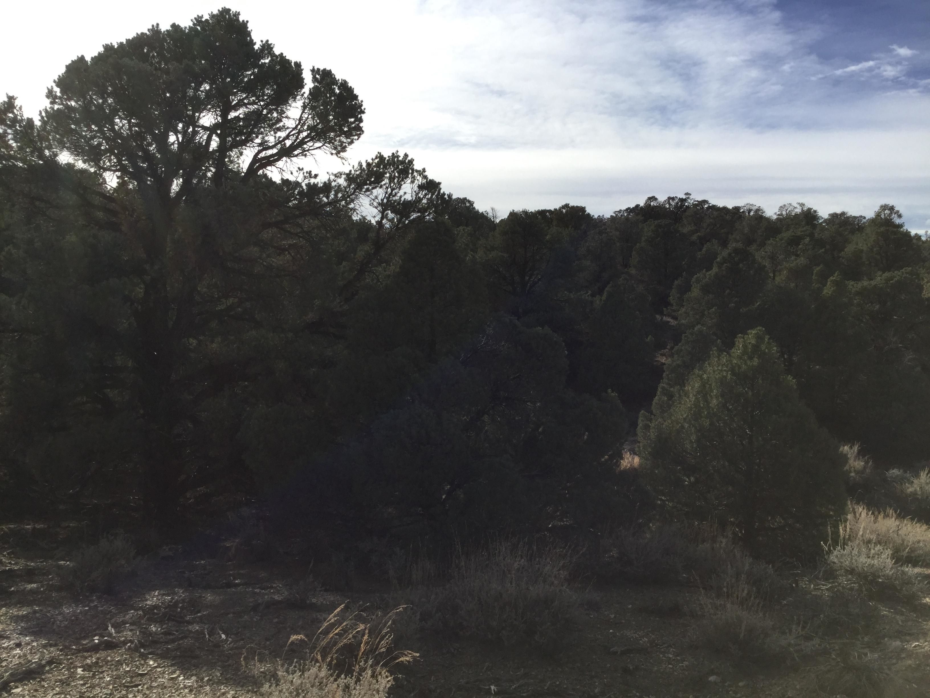 20.66 acres in Lida, NV, 89013 MLS Exclusive