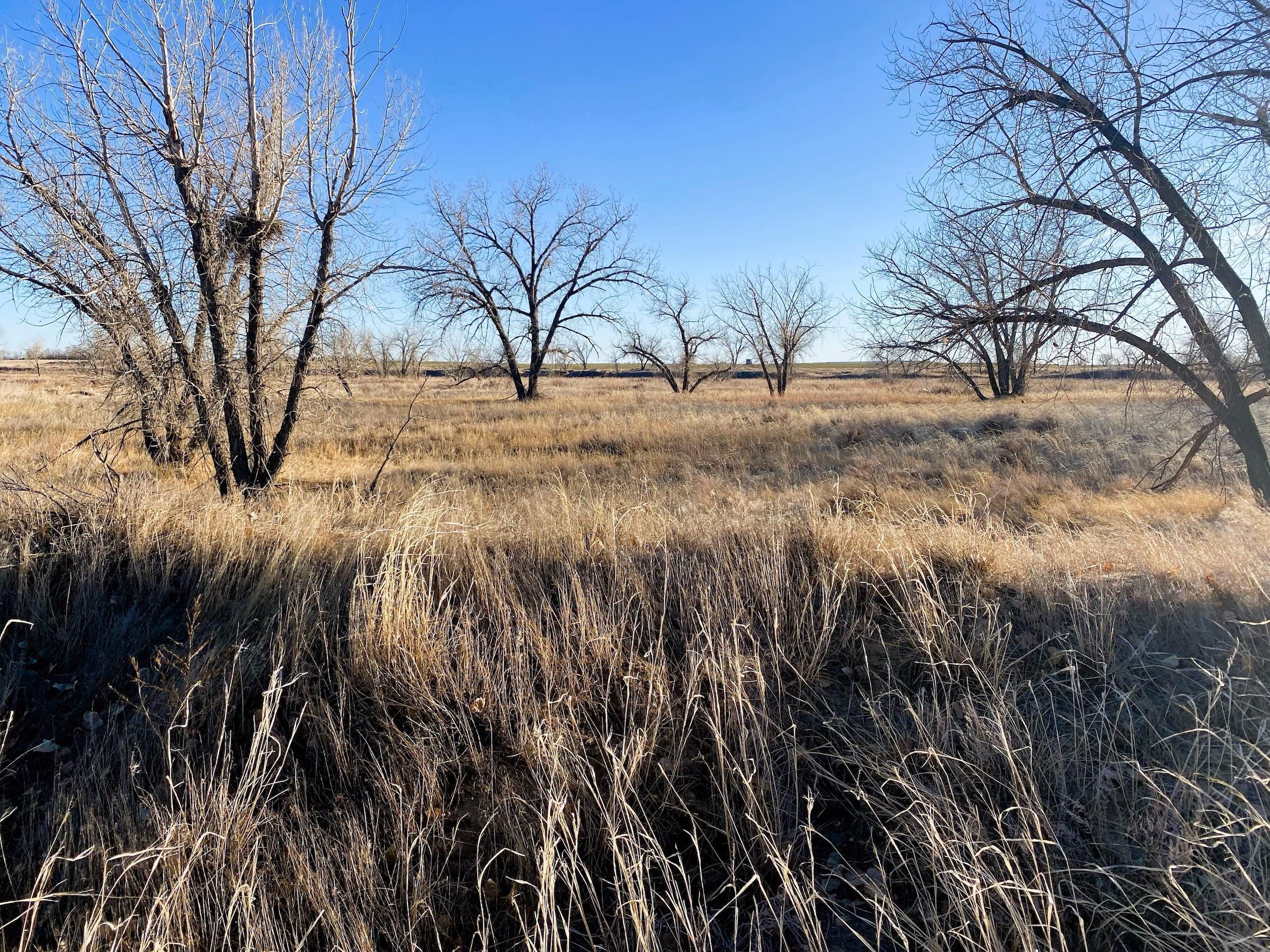 80 acres in County, Colorado