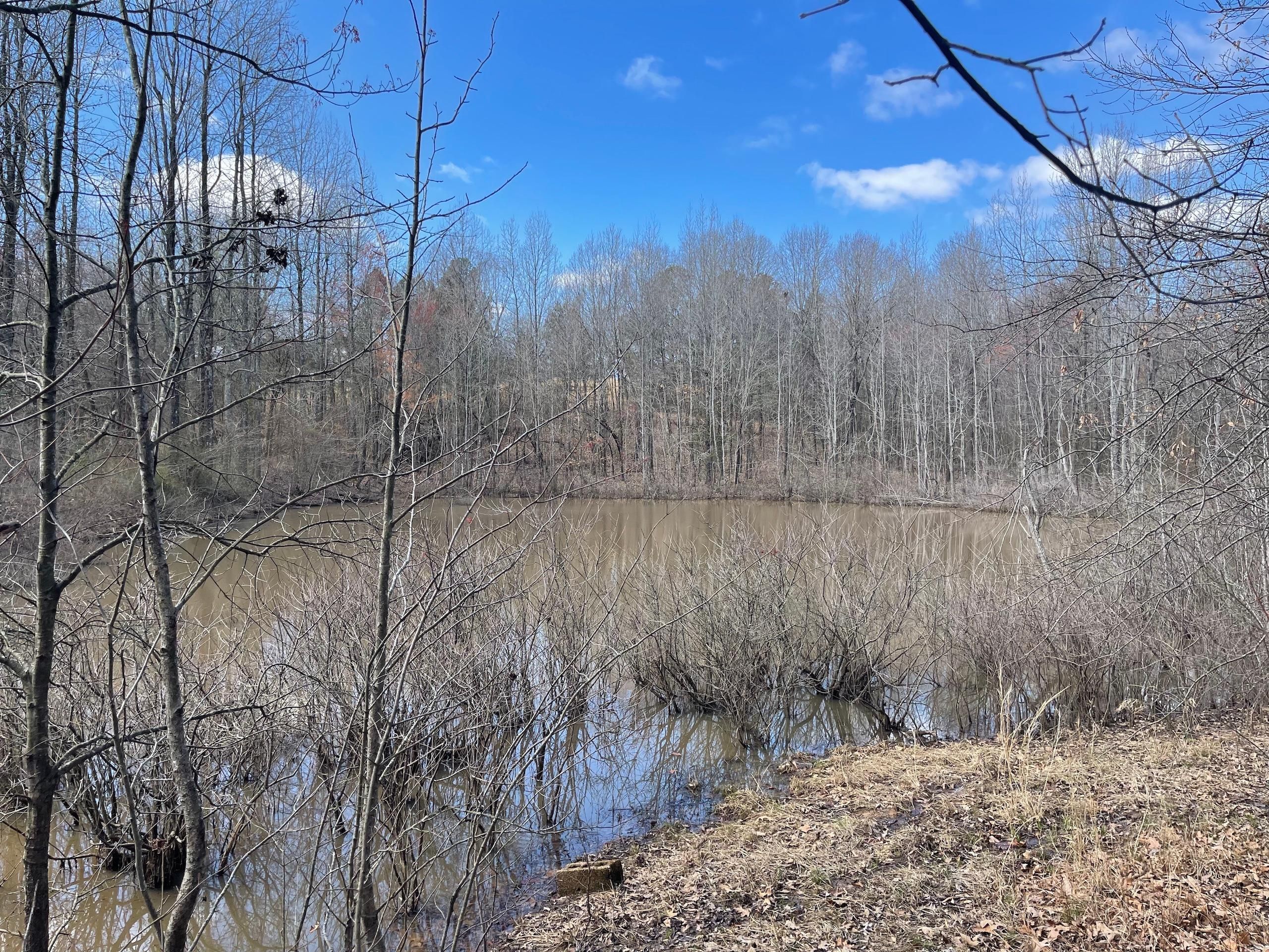 40 acres in Clay County, Arkansas