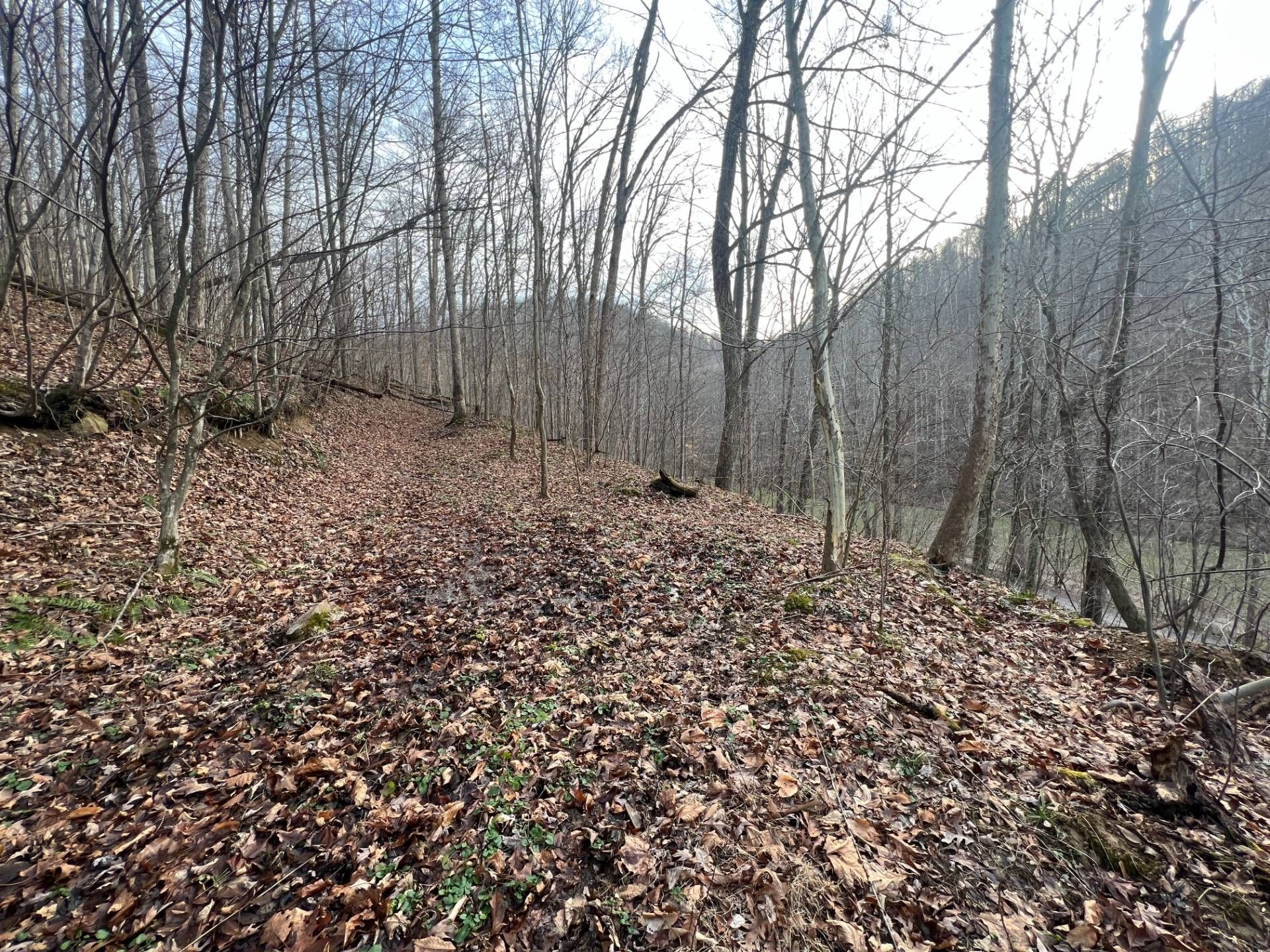 30 acres in Clay County, West Virginia