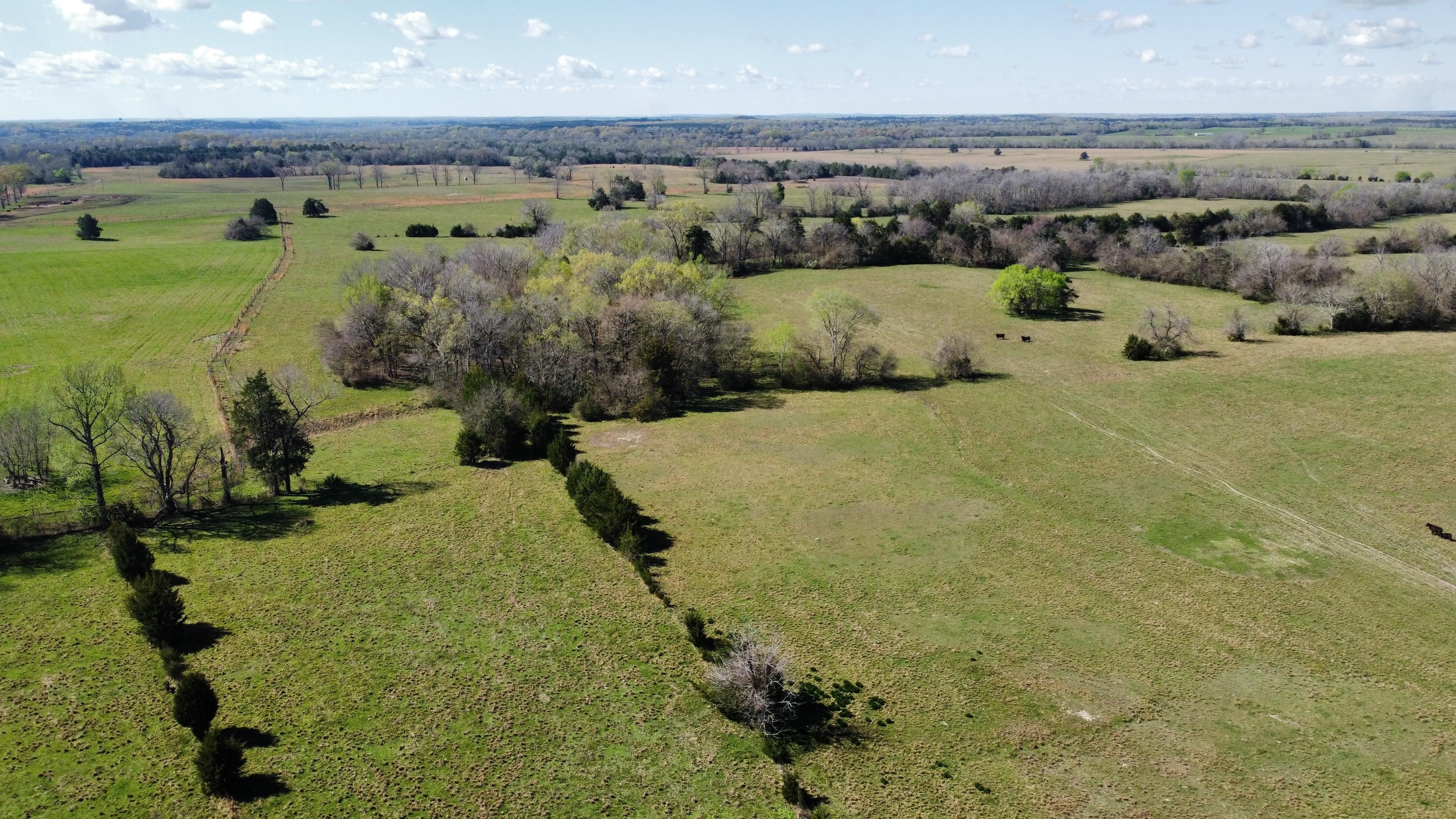 560 acres in Faunsdale, AL, 36738 MLS 56000